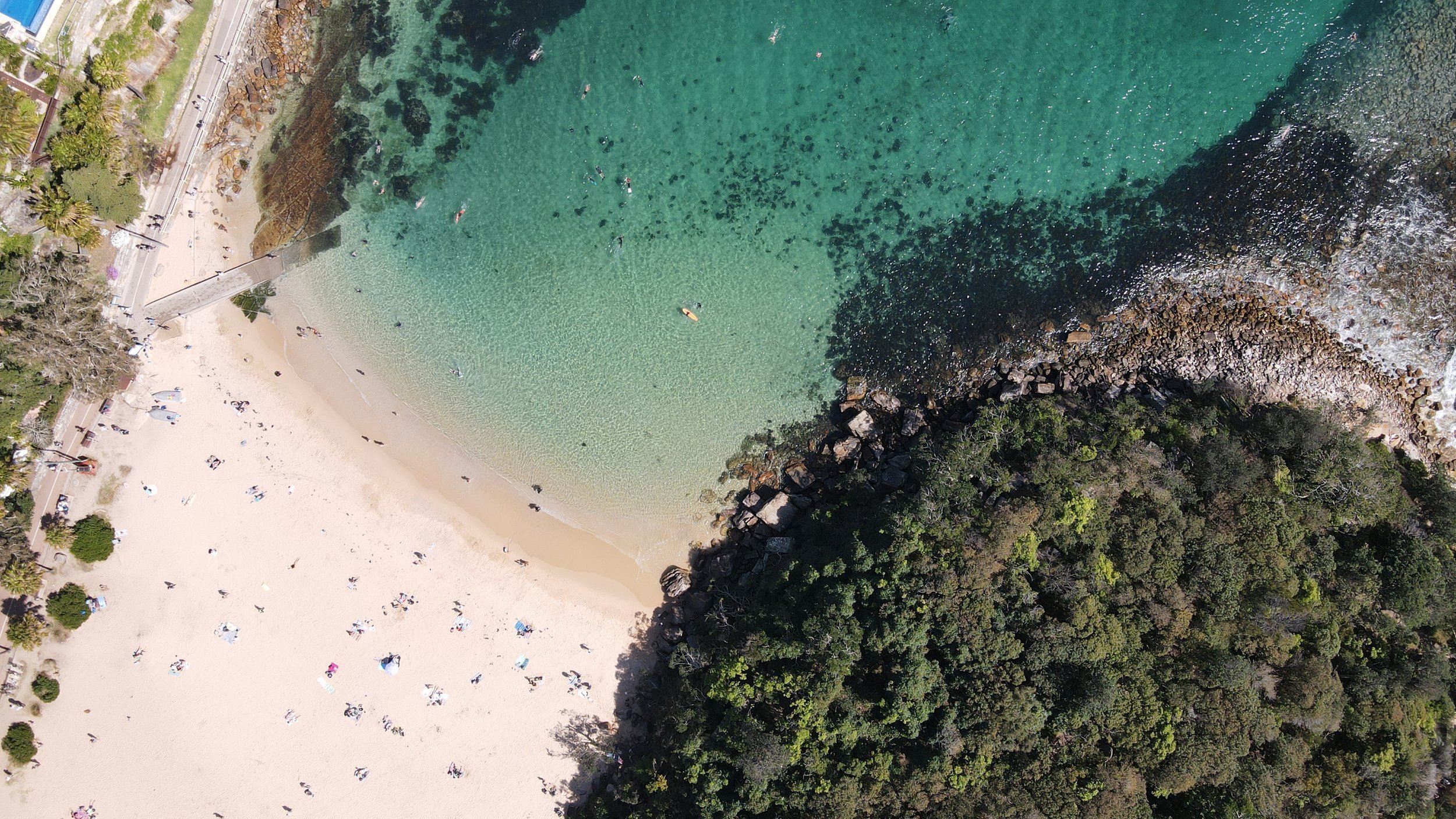 Manly Beach