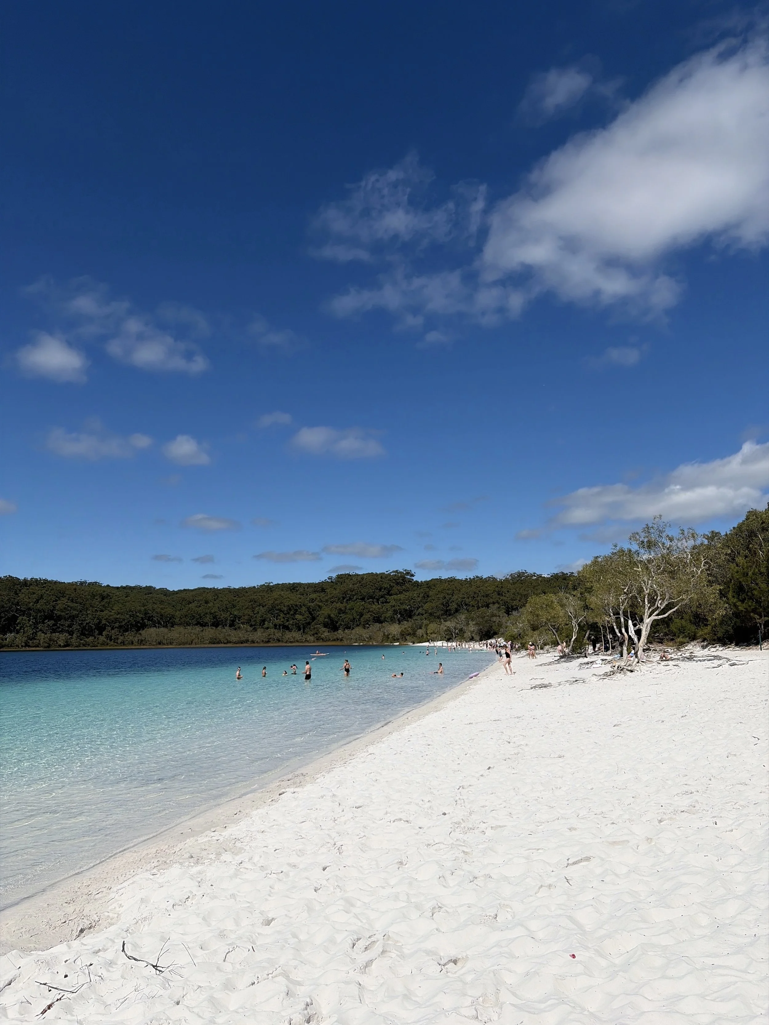 Lake McKenzie en K’gari (Fraser Island): agua turquesa y arena blanca, con gente nadando y el bosque de fondo