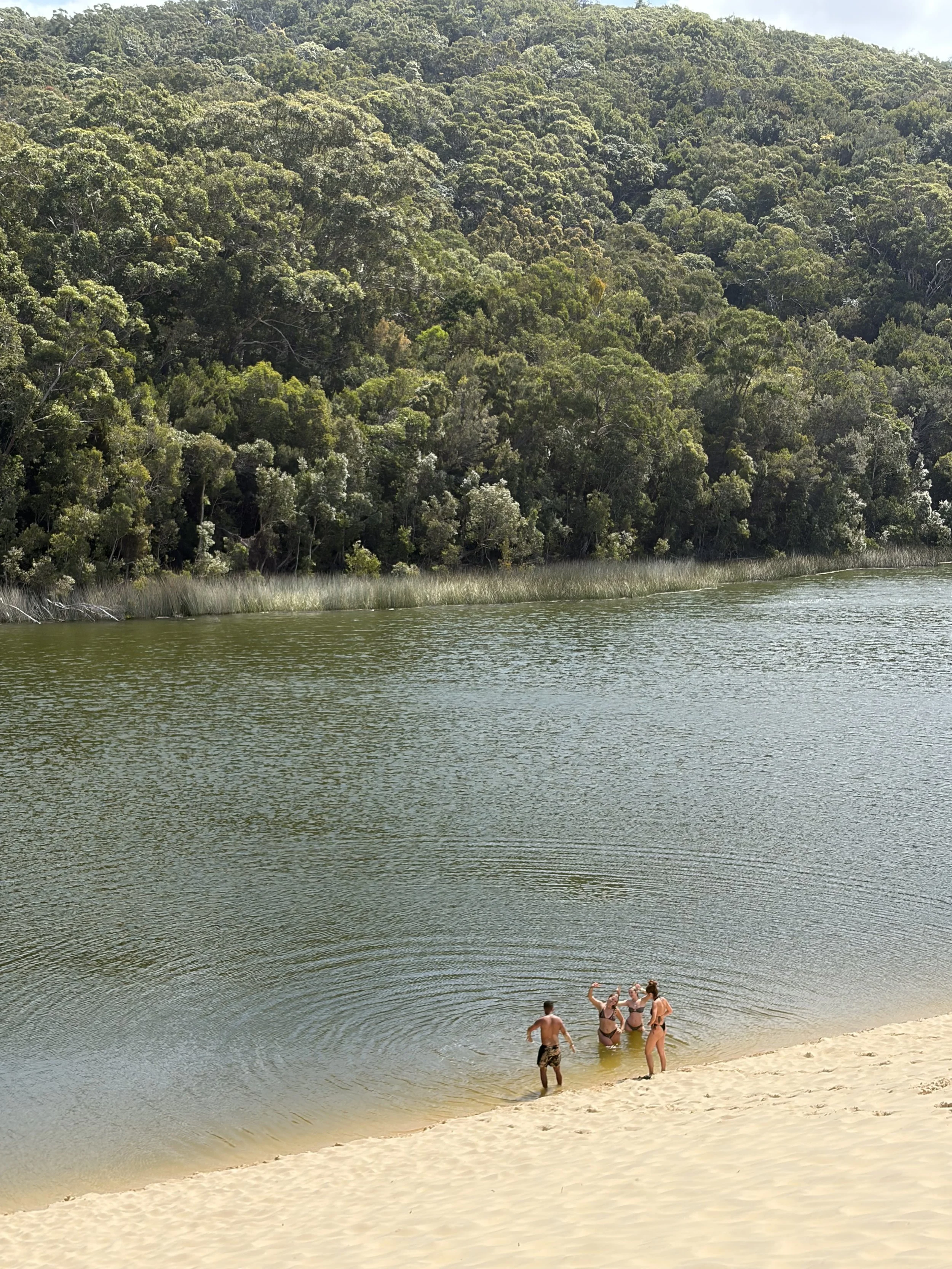 Gente saludando desde la duna de Lake Wabby, con el lago verde y la selva de fondo, en K’gari