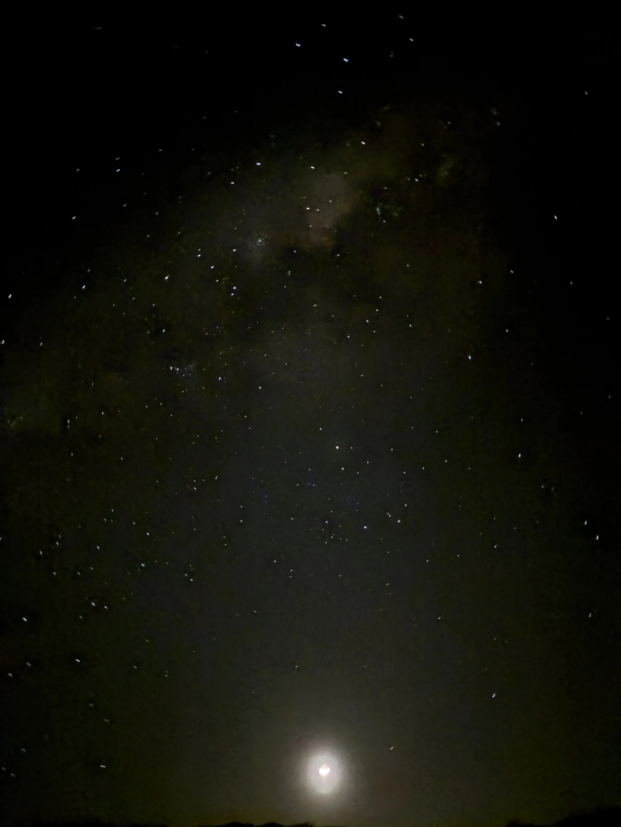 Cielo con la Vía Láctea sobre el campamento en K’gari, de noche y sin contaminación lumínica