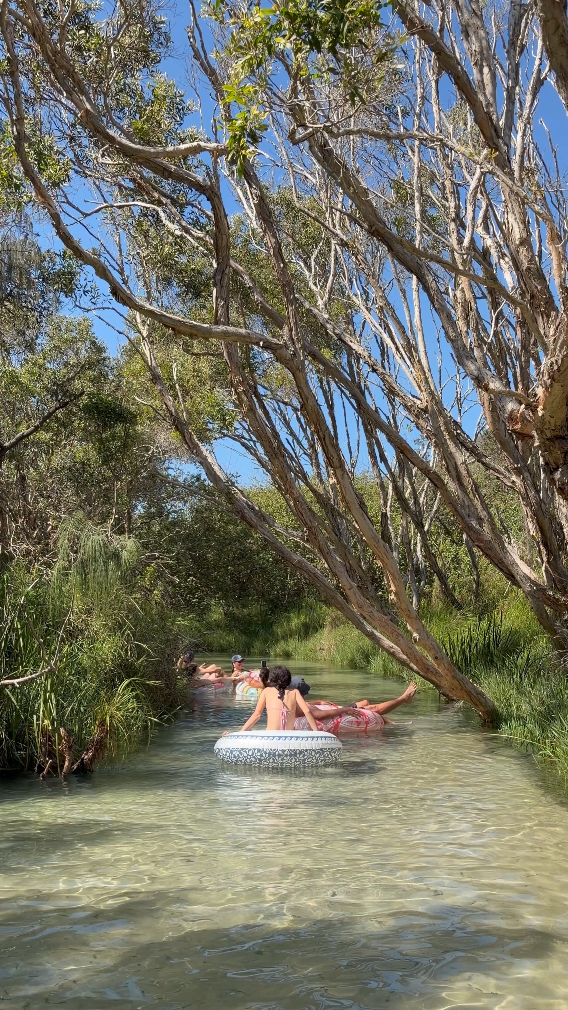 Gente flotando en el agua cristalina de Eli Creek, en K’gari