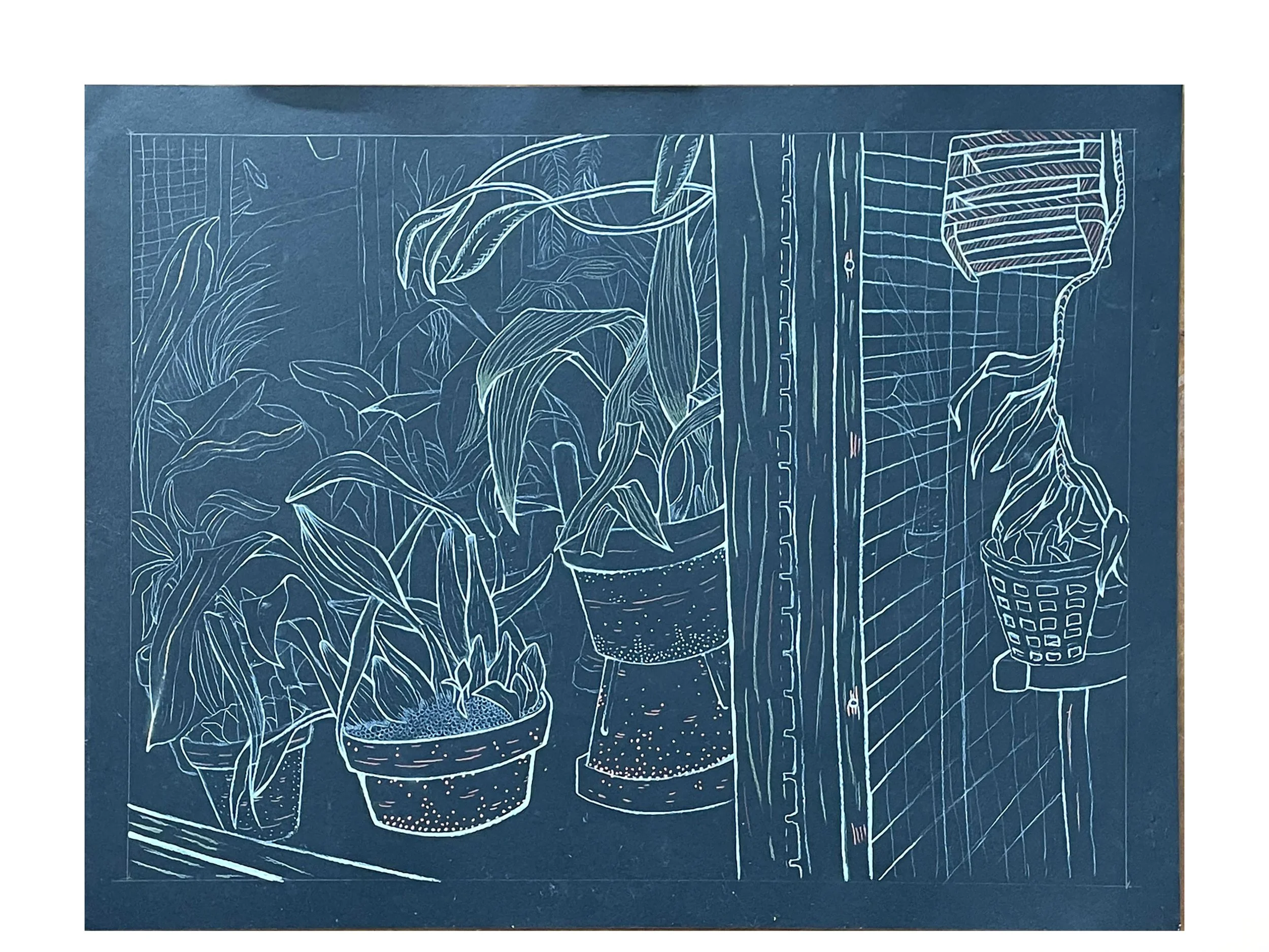 Plants With Complex Structures.jpg