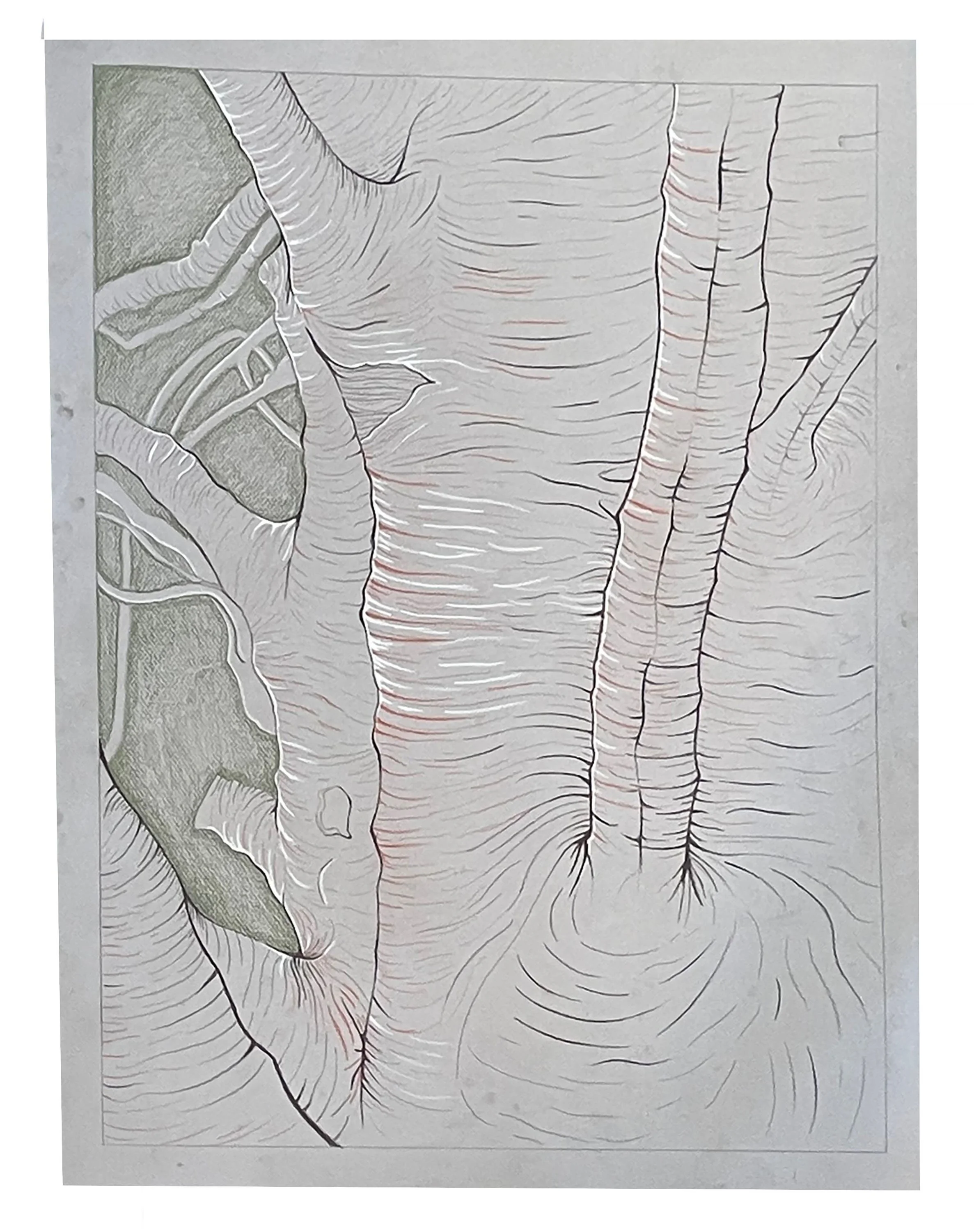 Cade Cross Contour.jpg