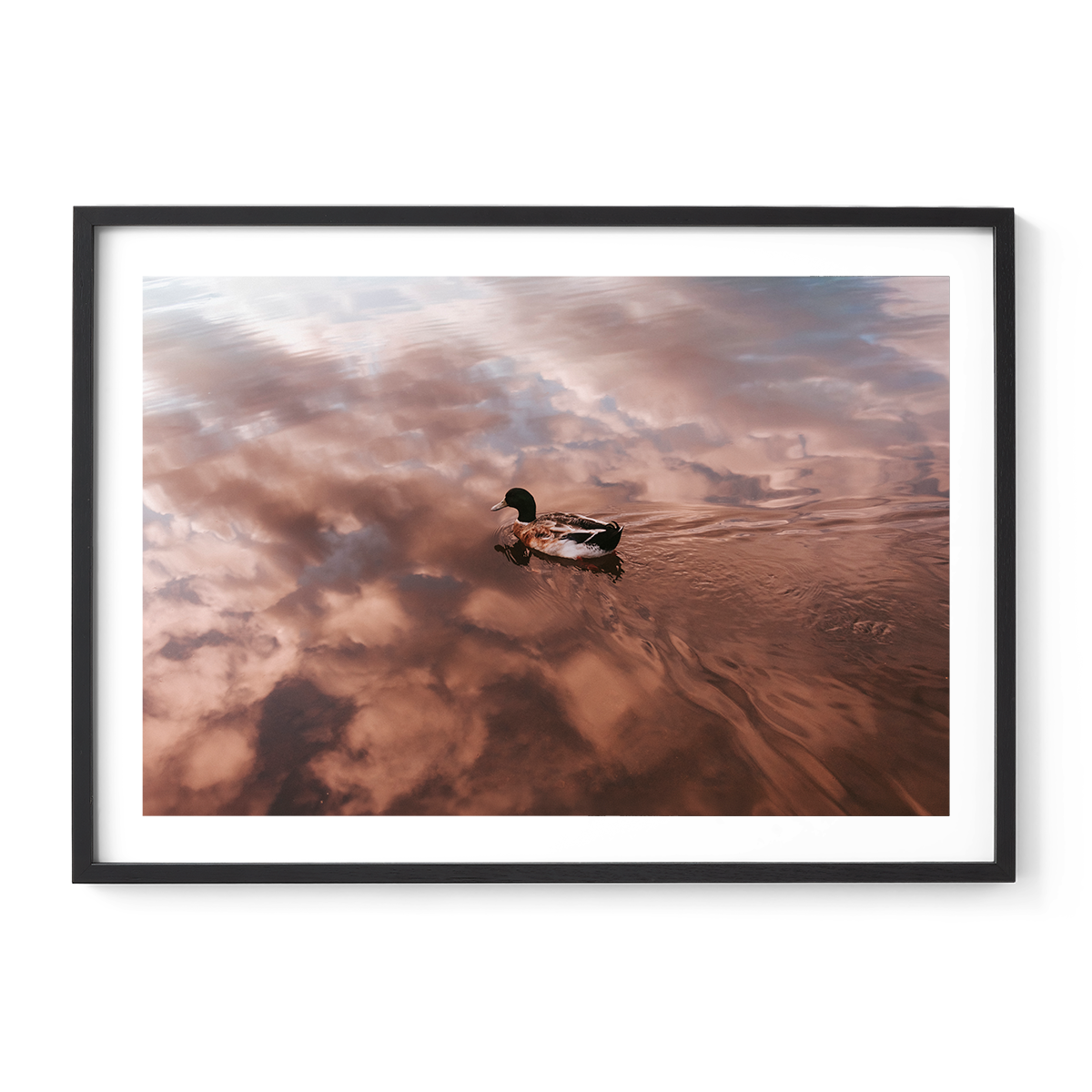 Sky Below-Black.png