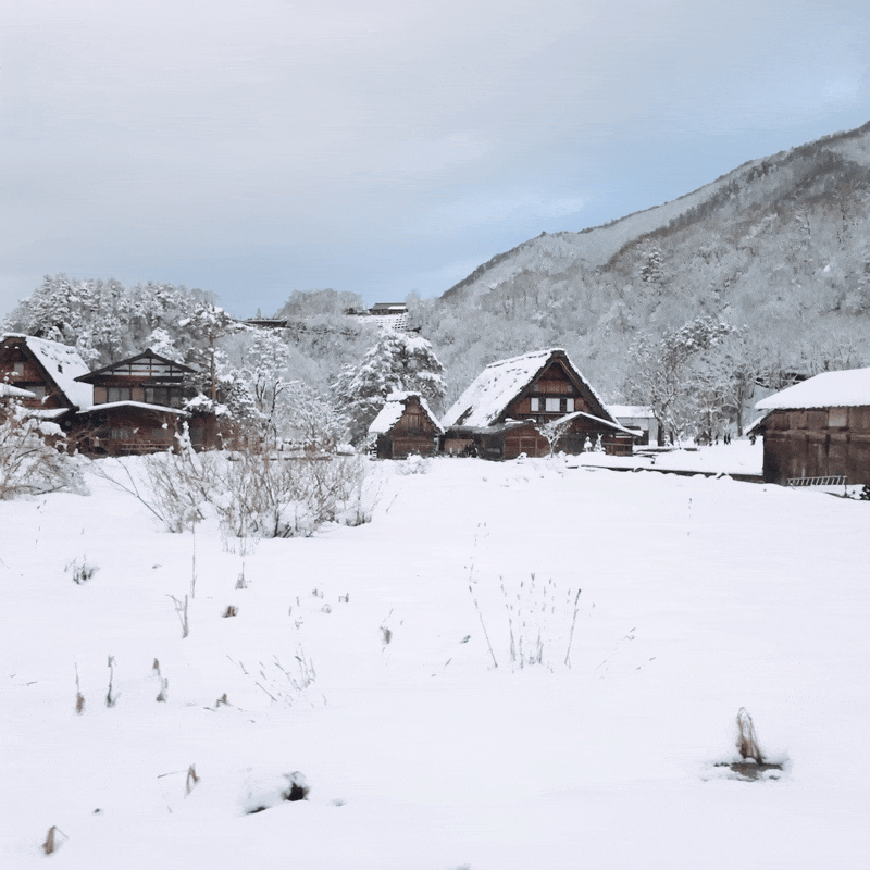shirakawa.gif