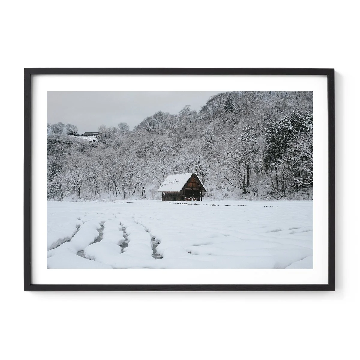 Black Frame Cabin.jpg