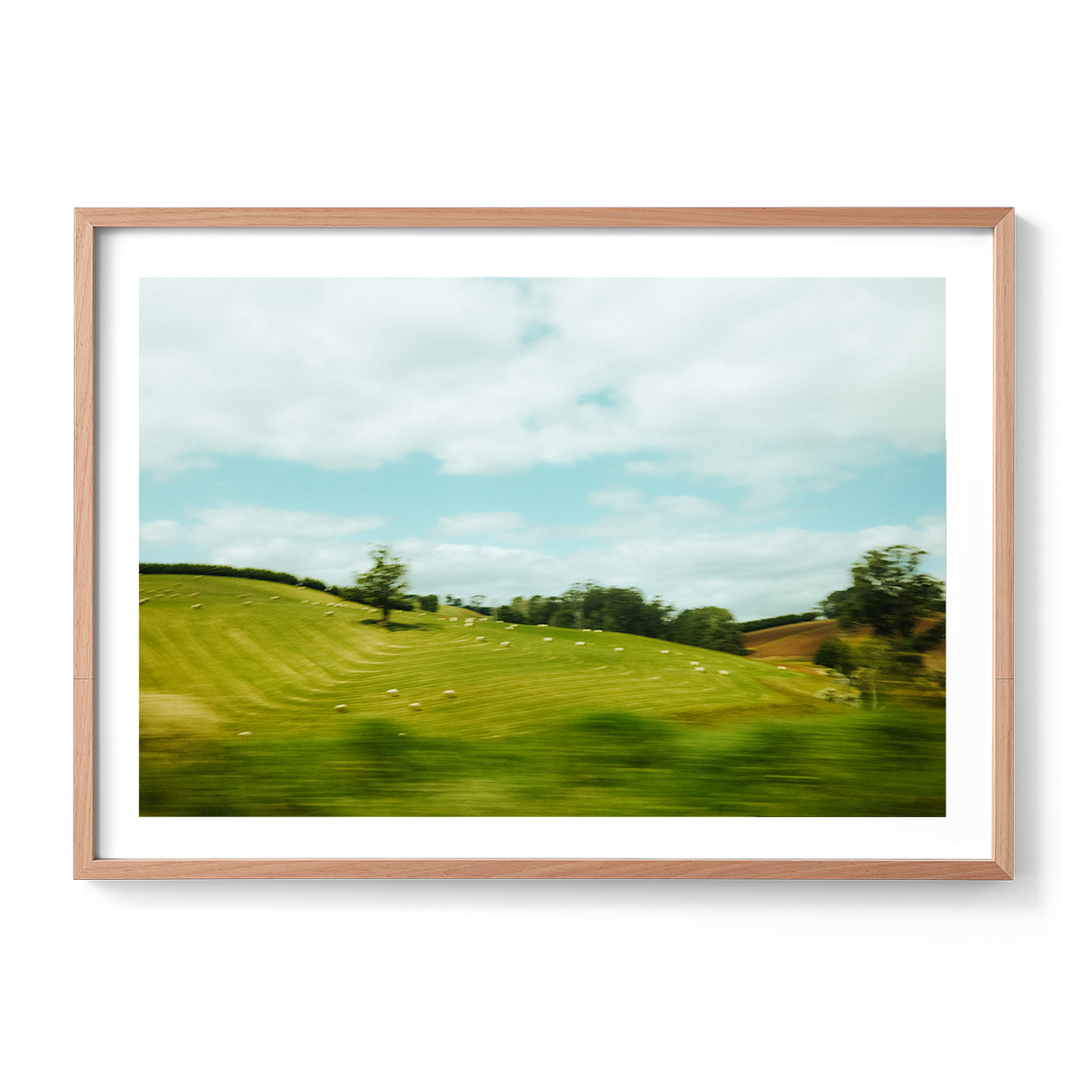 Rolling hills-oak.png