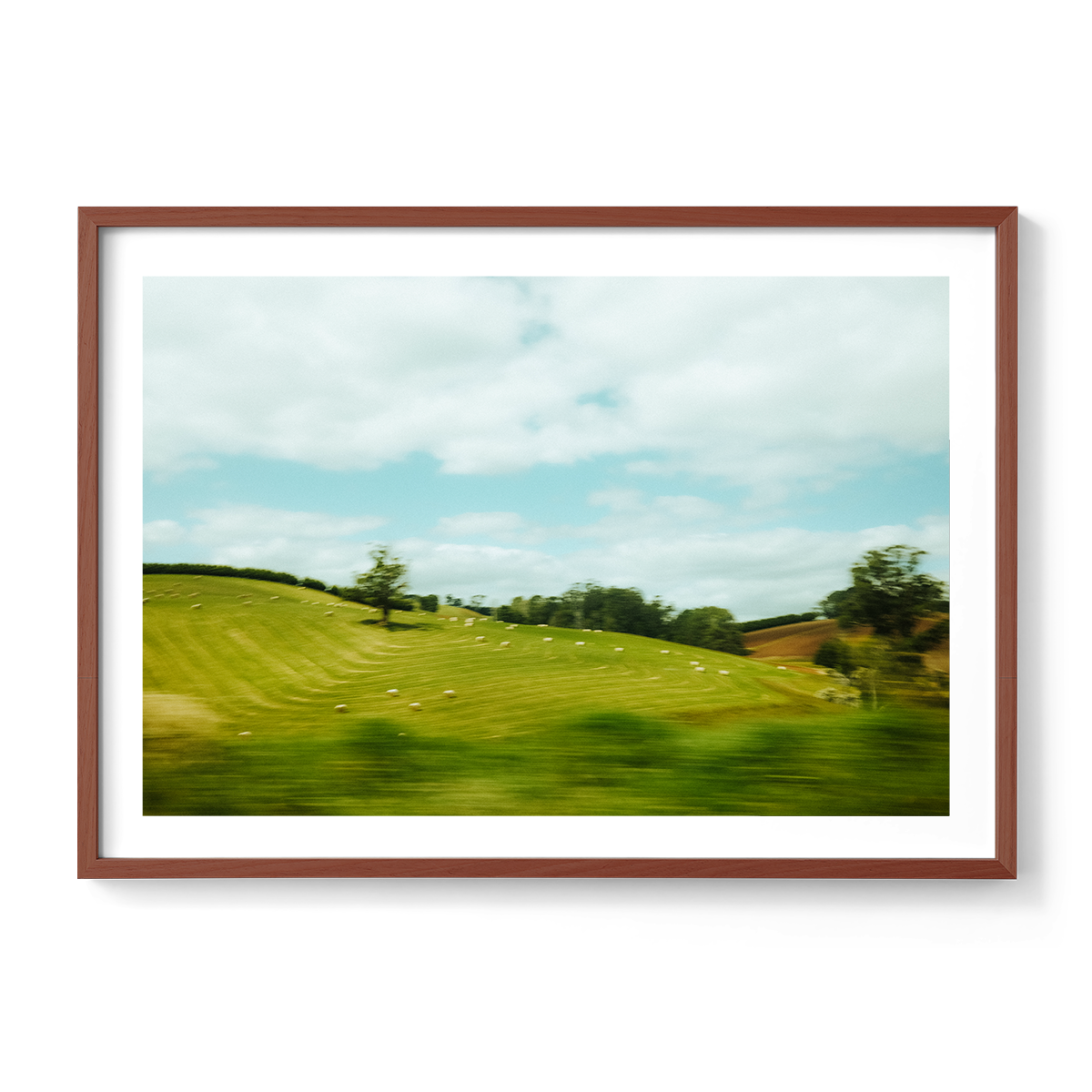 Rolling hills-walnut.png