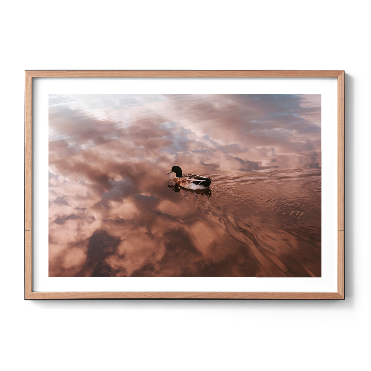 Sky Below-Natural oak.png