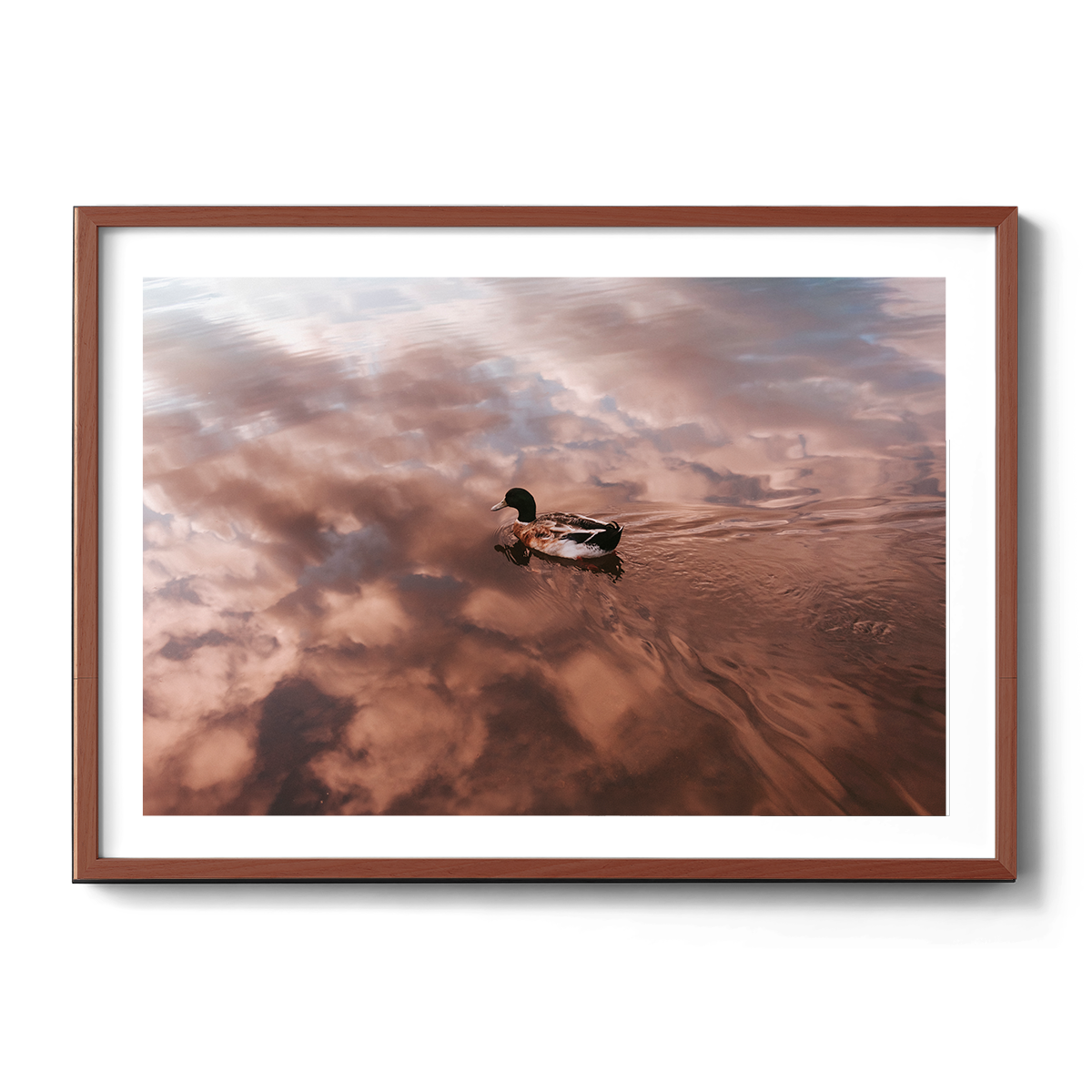 Sky Below-Walnut.png