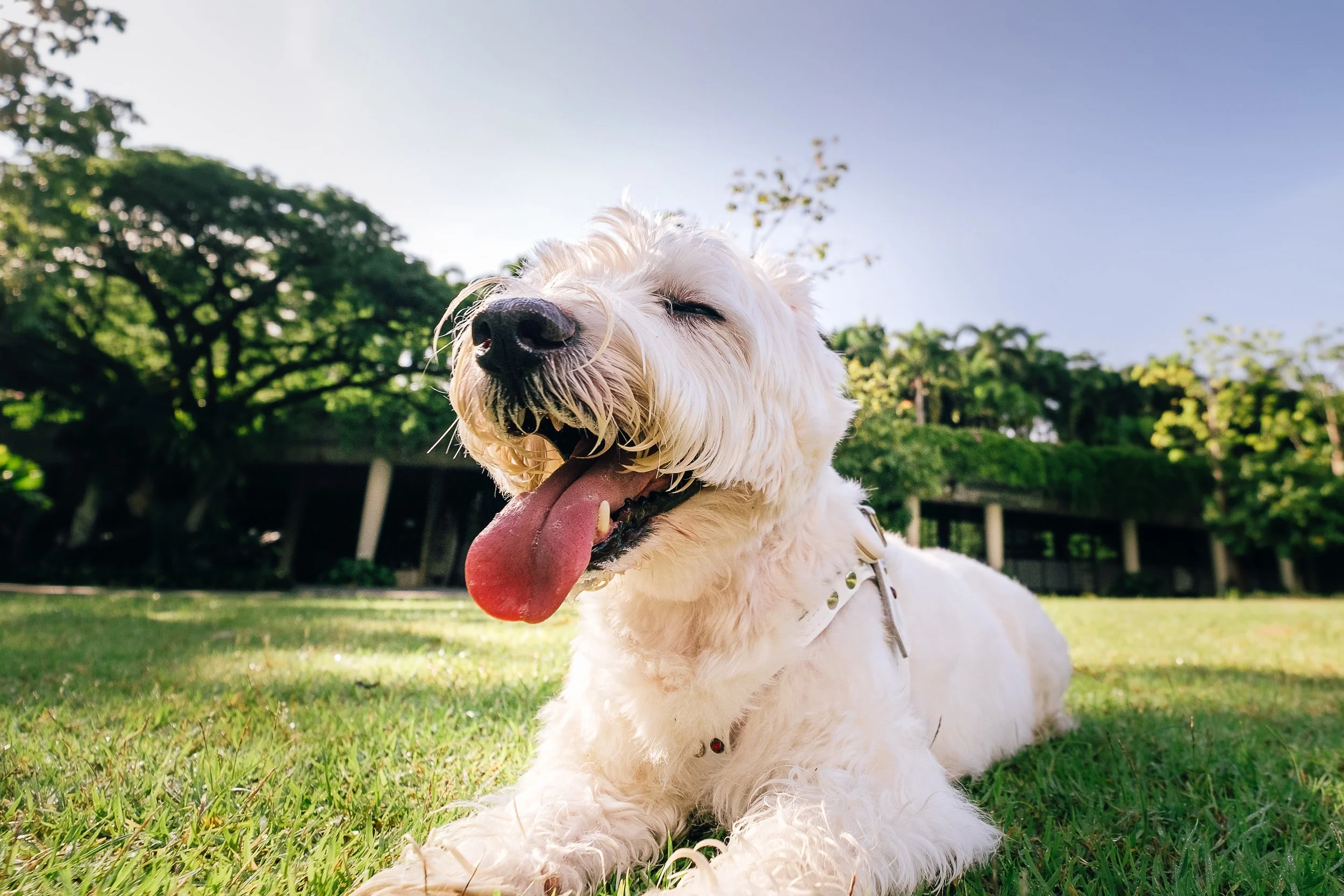 onchu@gardens-18.jpg