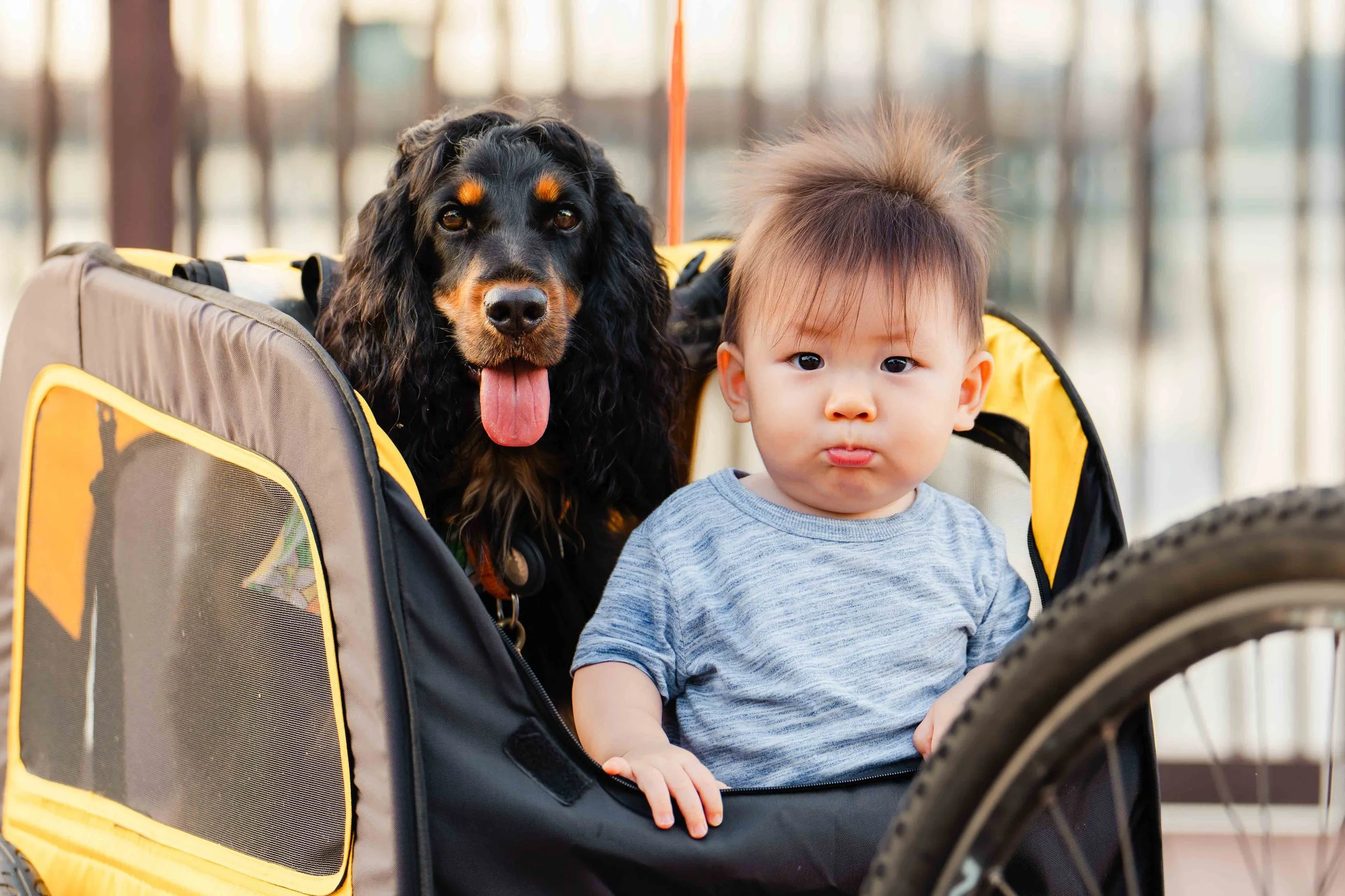 pet and baby photography @ lower seletar by Olivesky Photography