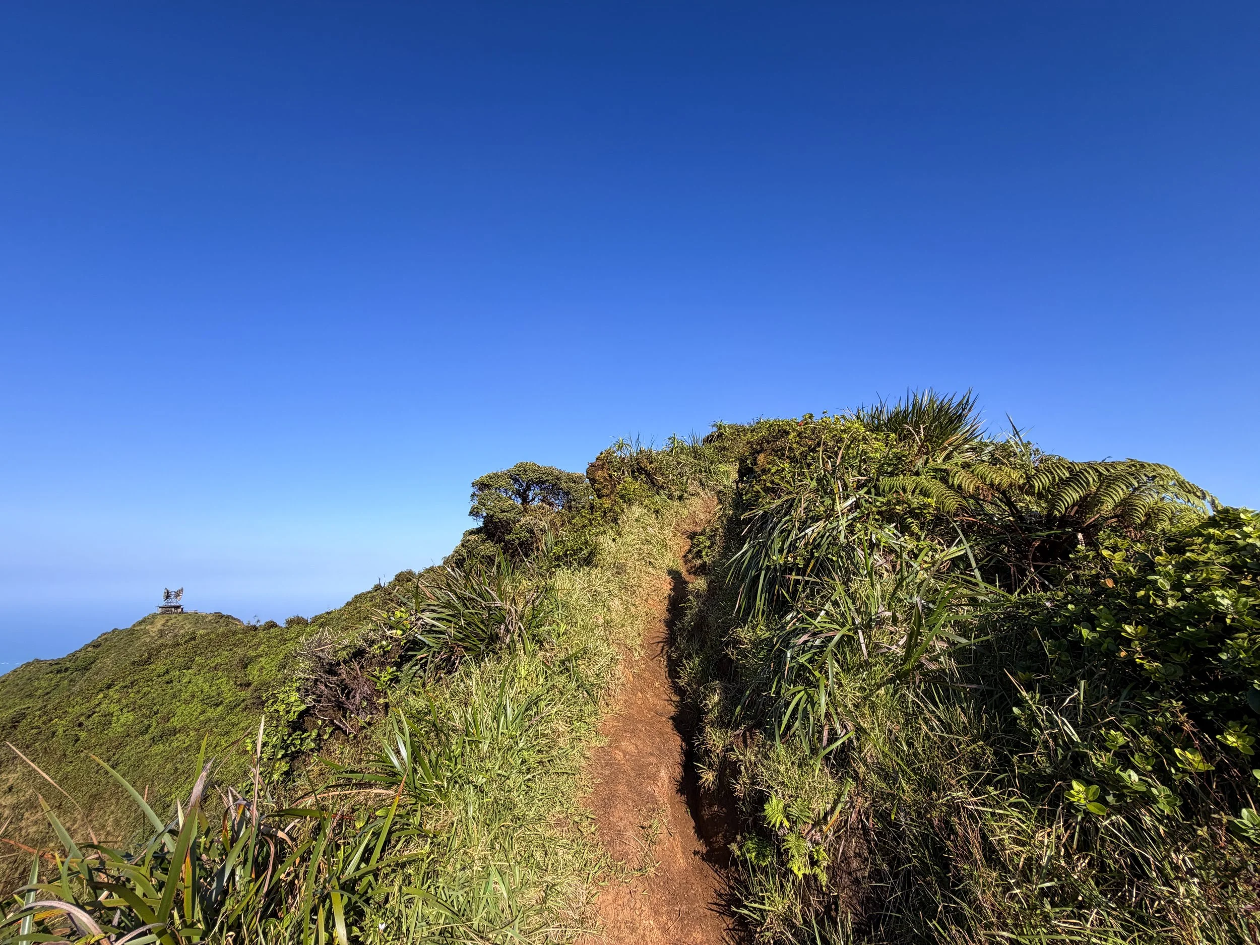 Moanalua Middle Ridge Trail to Stairway to Heaven Oahu Hawaii
