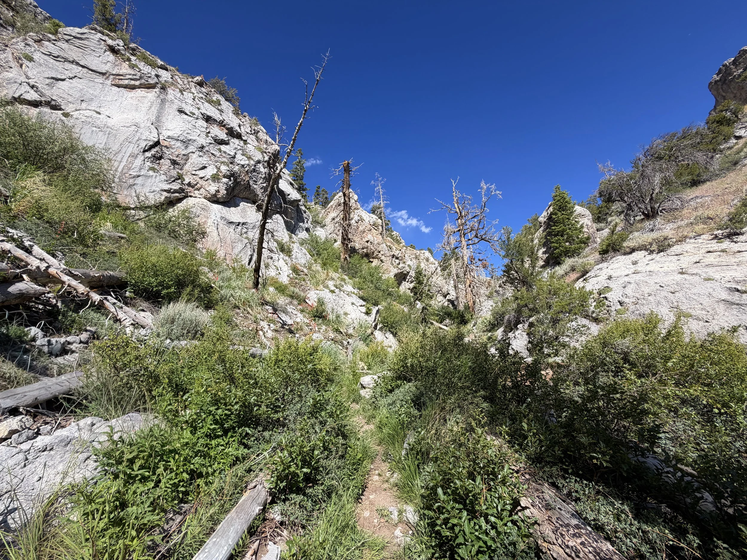 Lexington Arch Trail Great Basin National Park Nevada