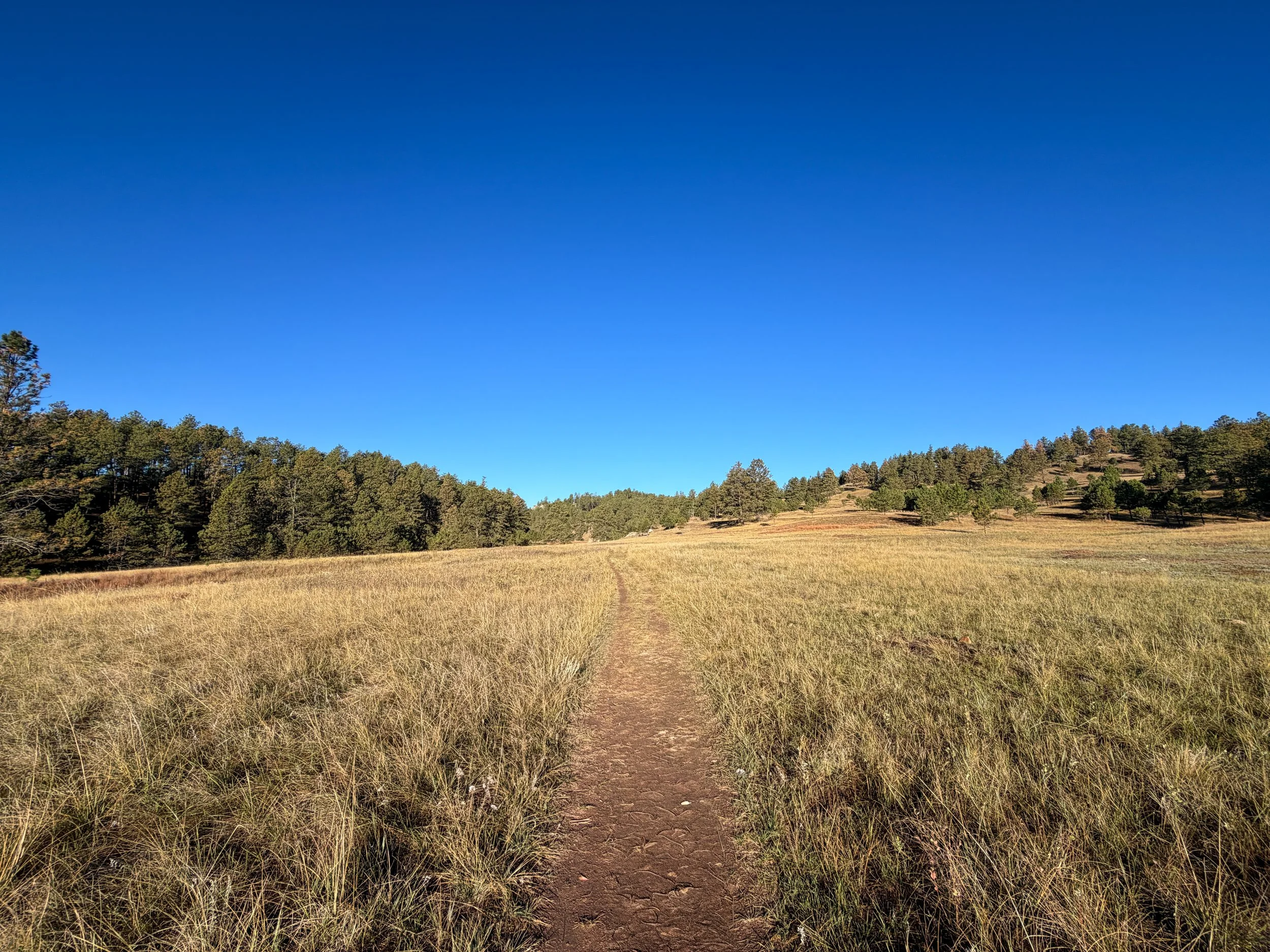 Cold Brook Canyon Hike Wind Cave National Park South Dakota