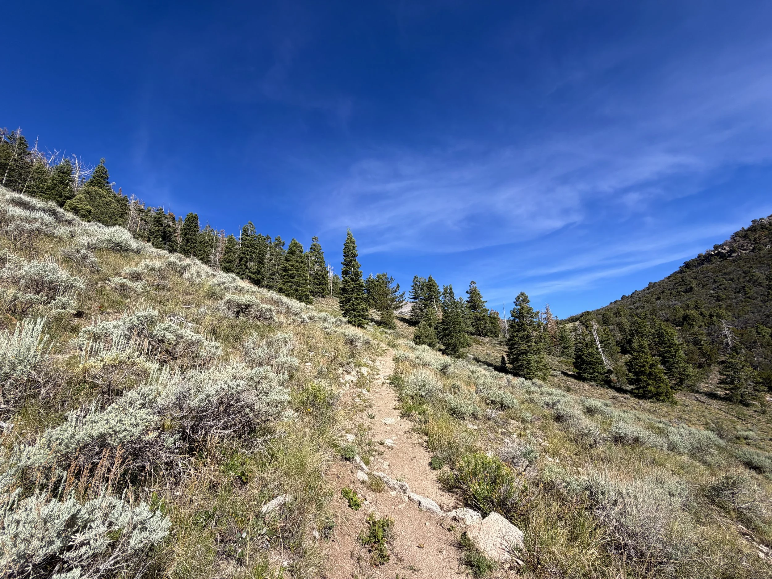 Pole Canyon Hike Great Basin National Park Nevada