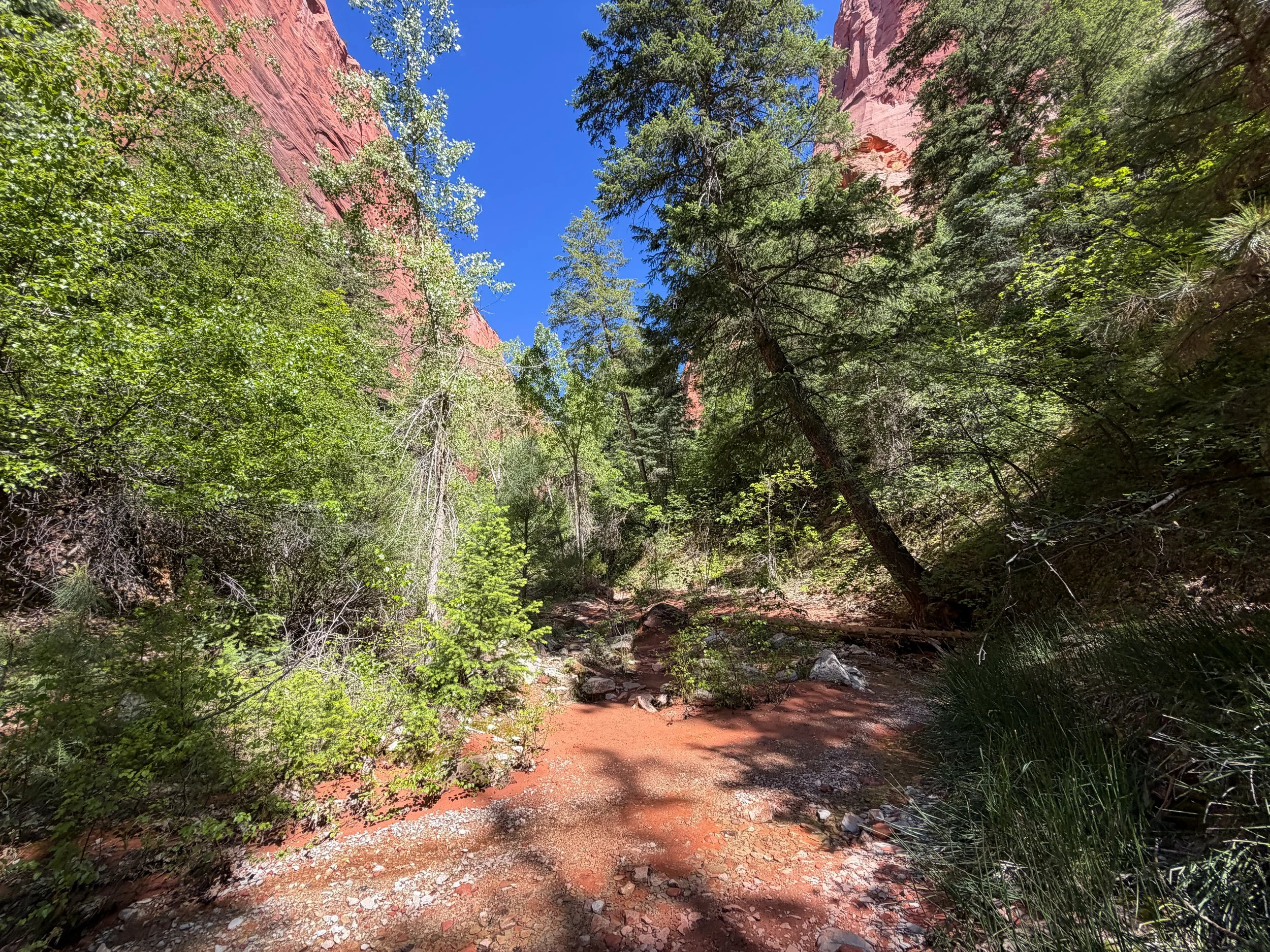 Middle Taylor Creek Trail Zion National Park Utah