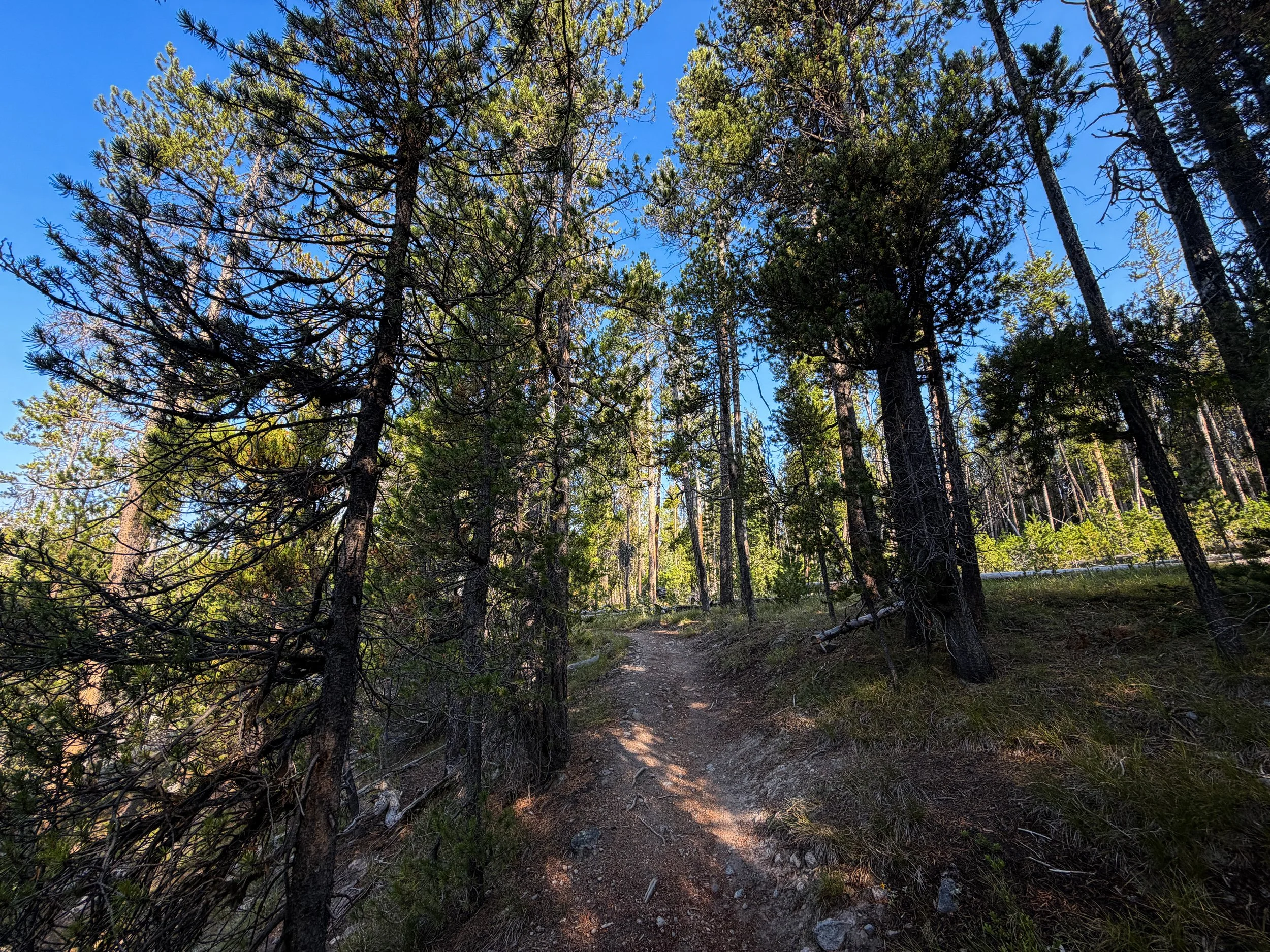 Natural Bridge Trail Yellowstone National Park Wyoming