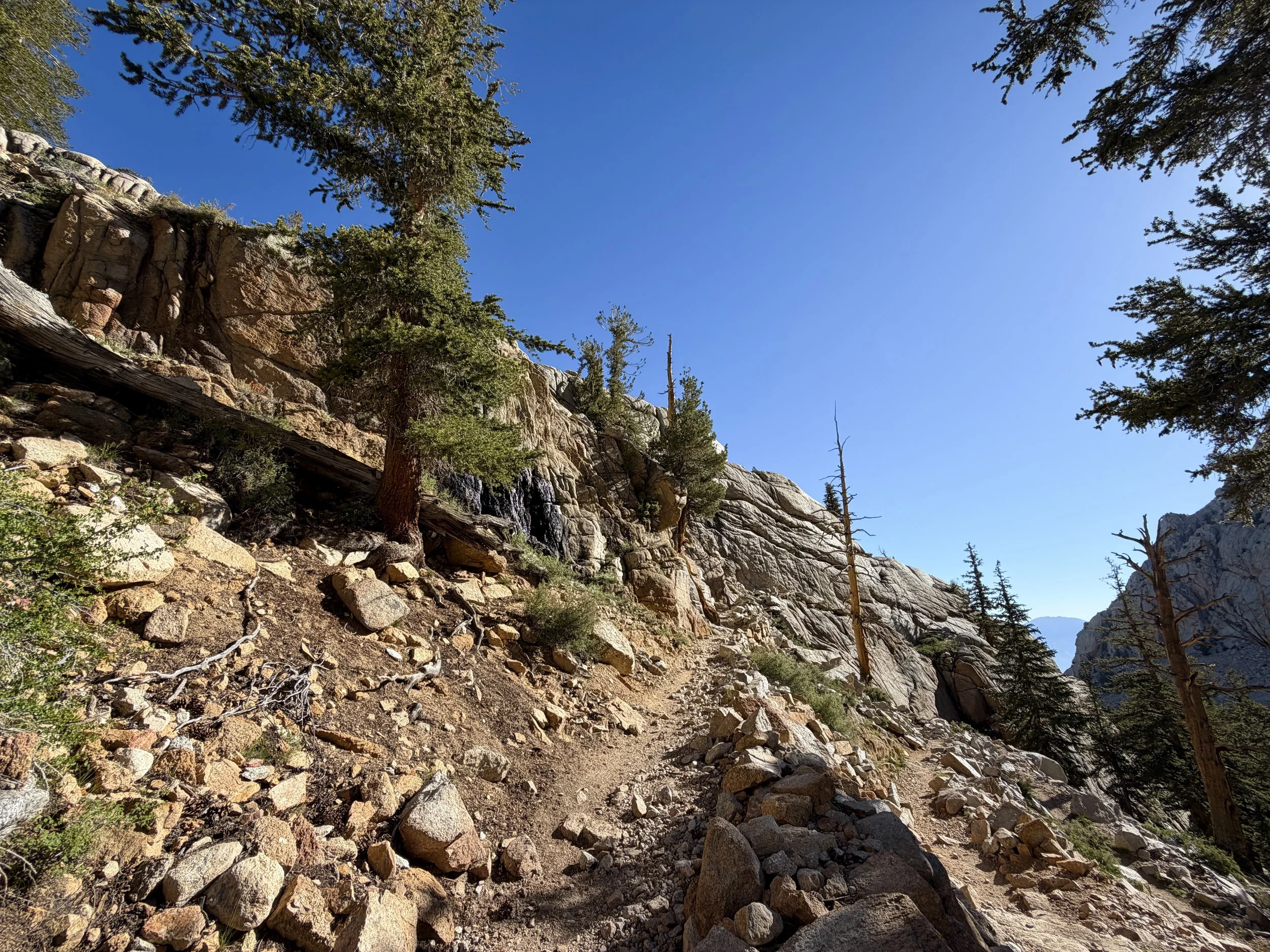 Mount Whitney Trail California