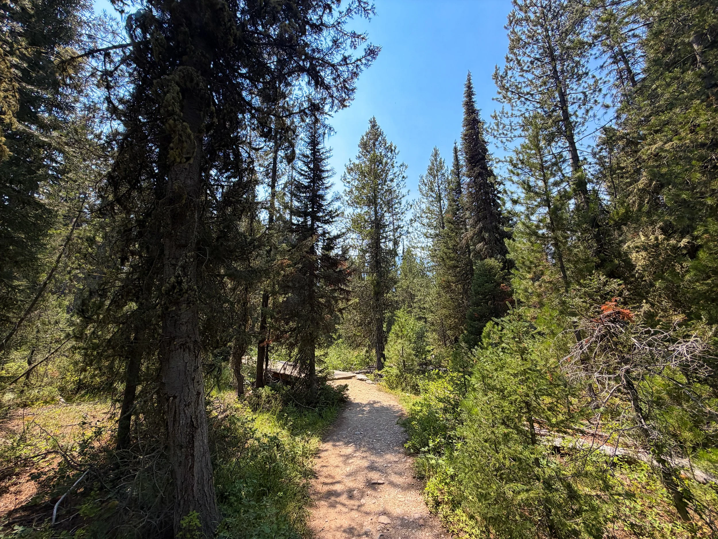 Phelps Lake Loop Trail Grand Teton National Park Wyoming