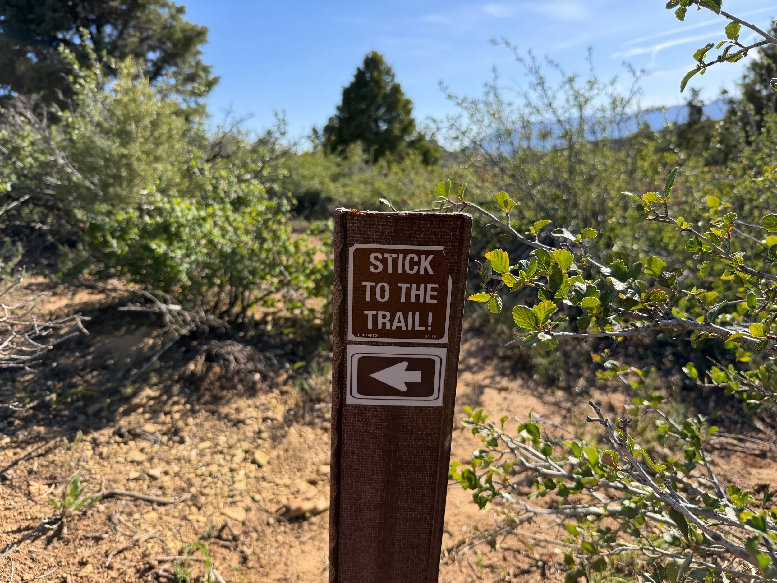 Timber Creek Overlook Hike Zion National Park Utah