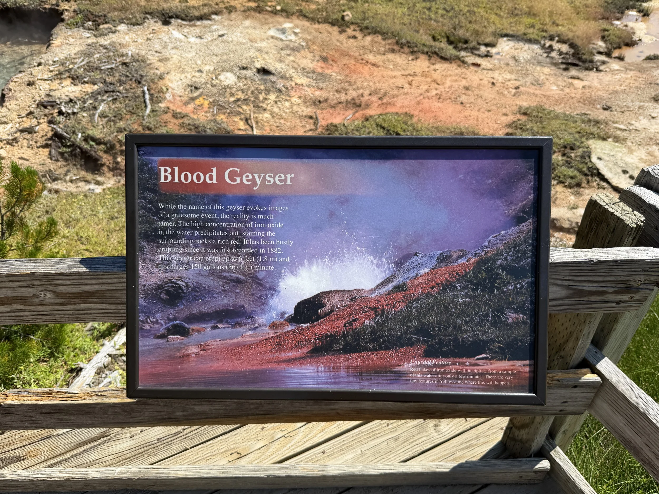 Blood Geyser Yellowstone National Park Wyoming