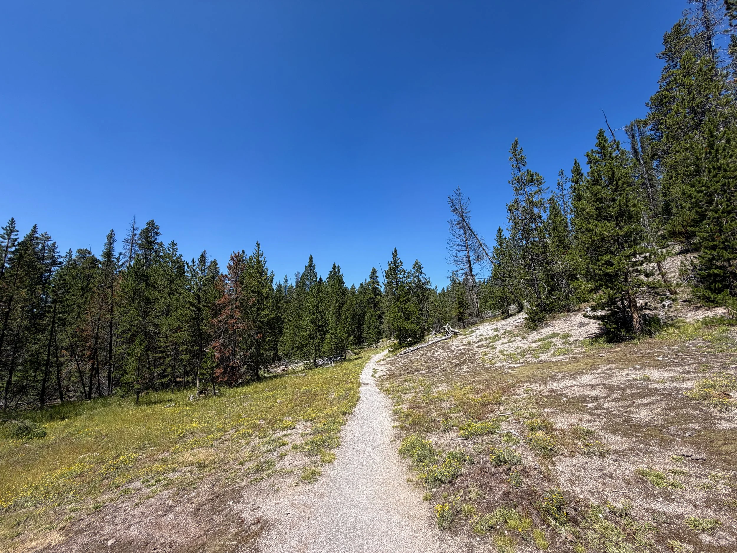 Lone Star Geyser Trail Yellowstone National Park Wyoming