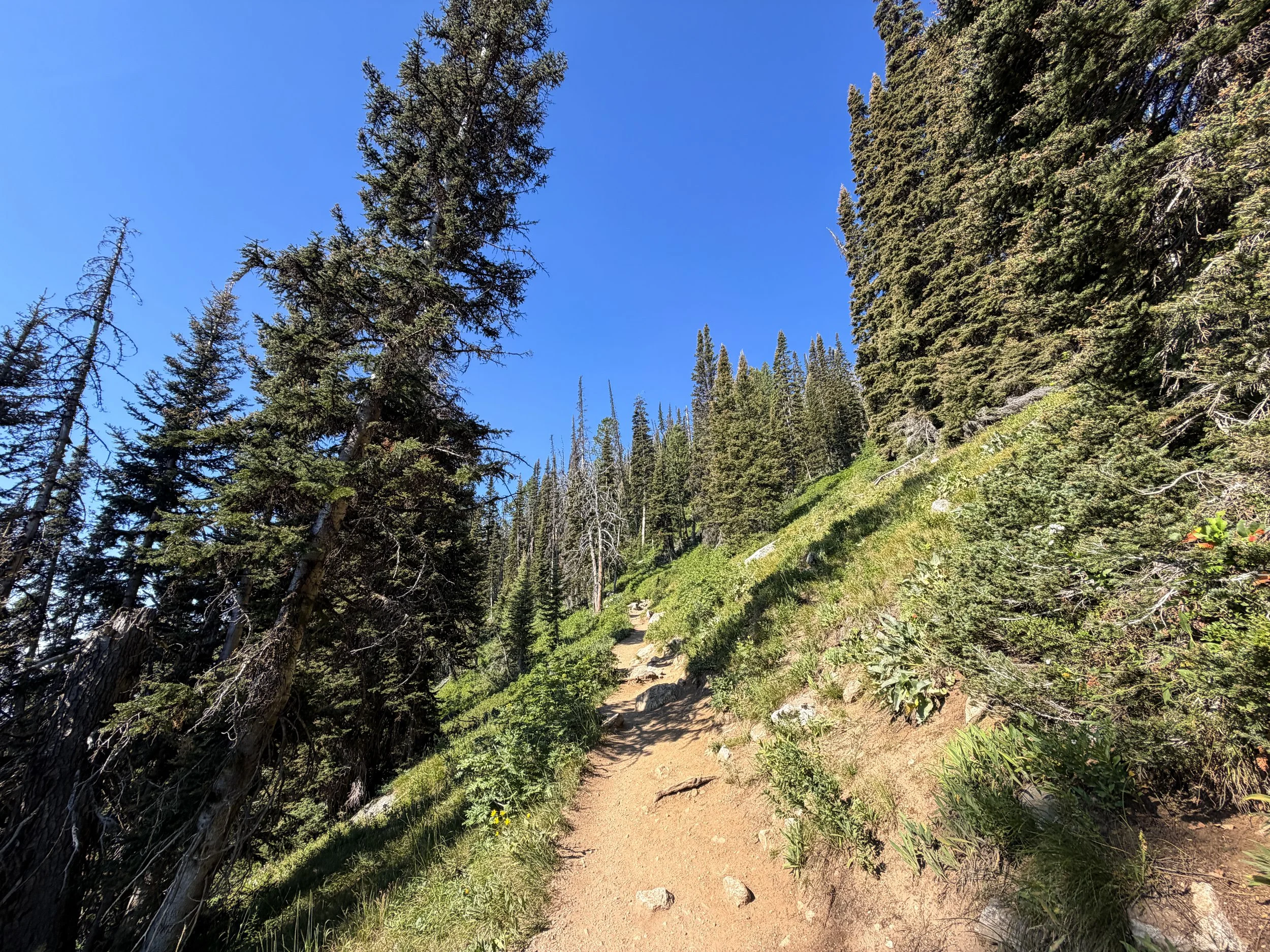Delta Lake Trail via Lupine Meadows Grand Teton National Park Wyoming