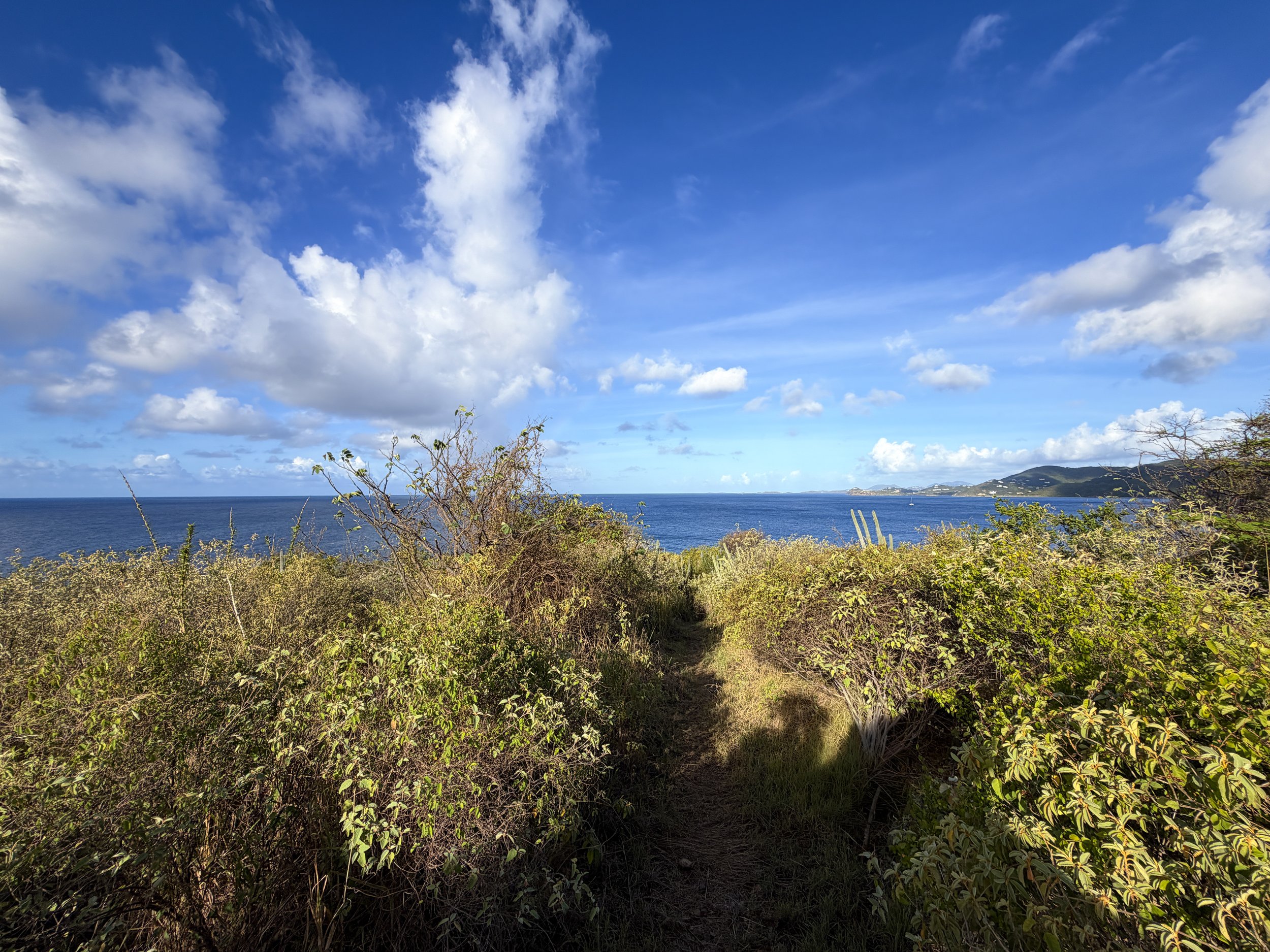Cabritte Horn Trail Virgin Islands National Park