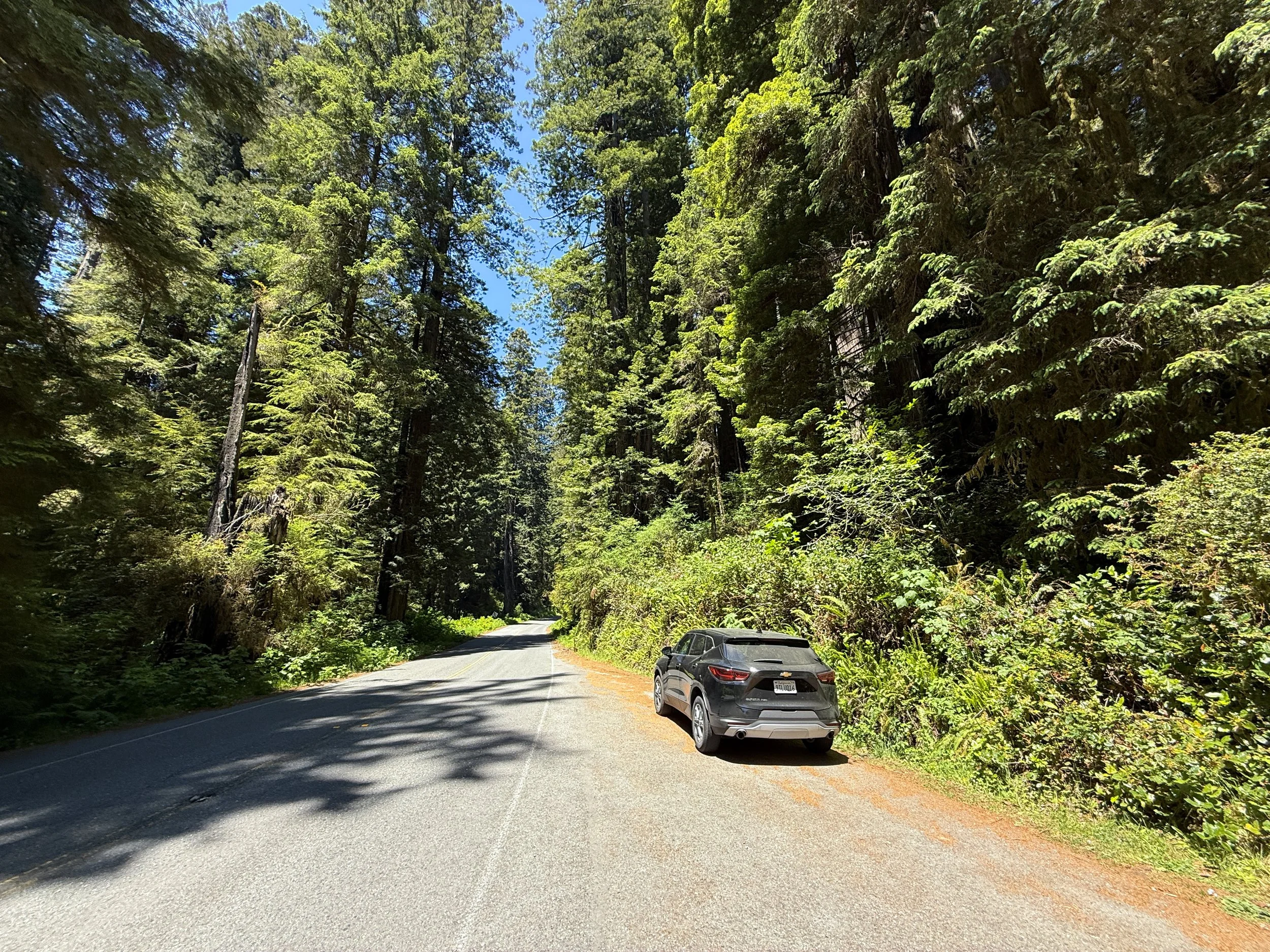 Hope Creek–Ten Taypo Loop Trailhead Parking Prairie Creek Redwoods State Park California