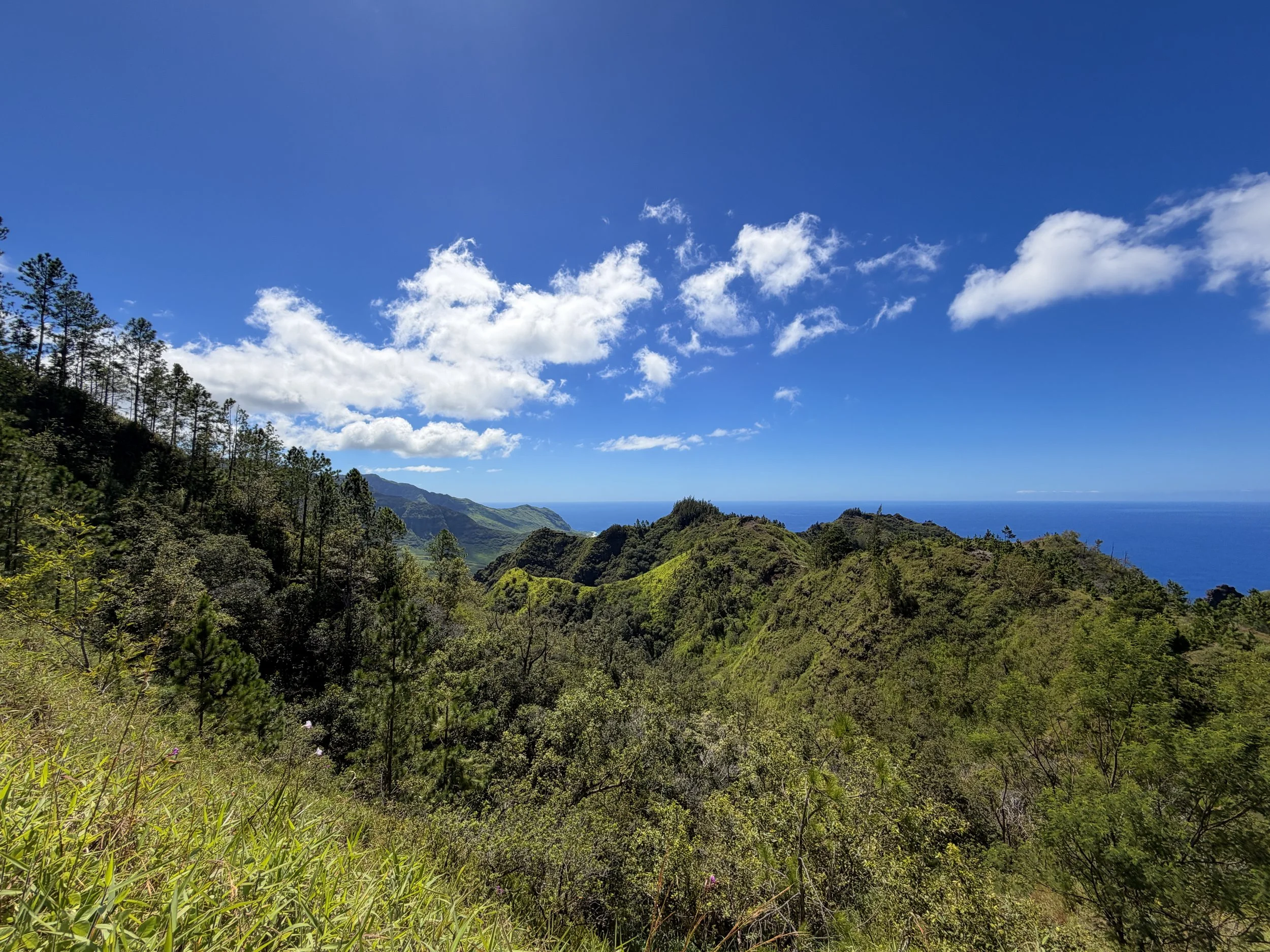 Kuaokala Hike Oahu Hawaii
