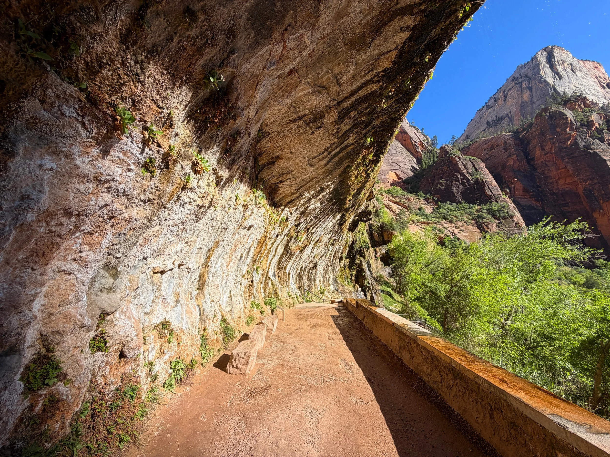 Weeping Rock Zion National Park Utah