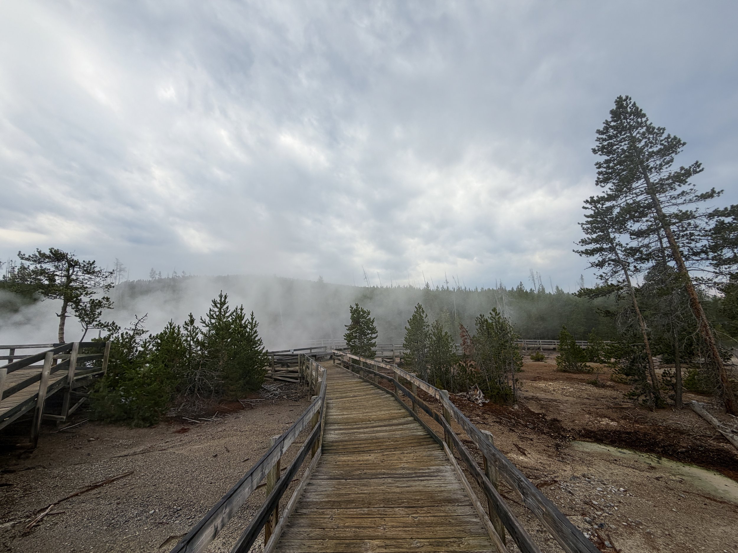 Norris Geyser Basin Trail Yellowstone National Park Wyoming