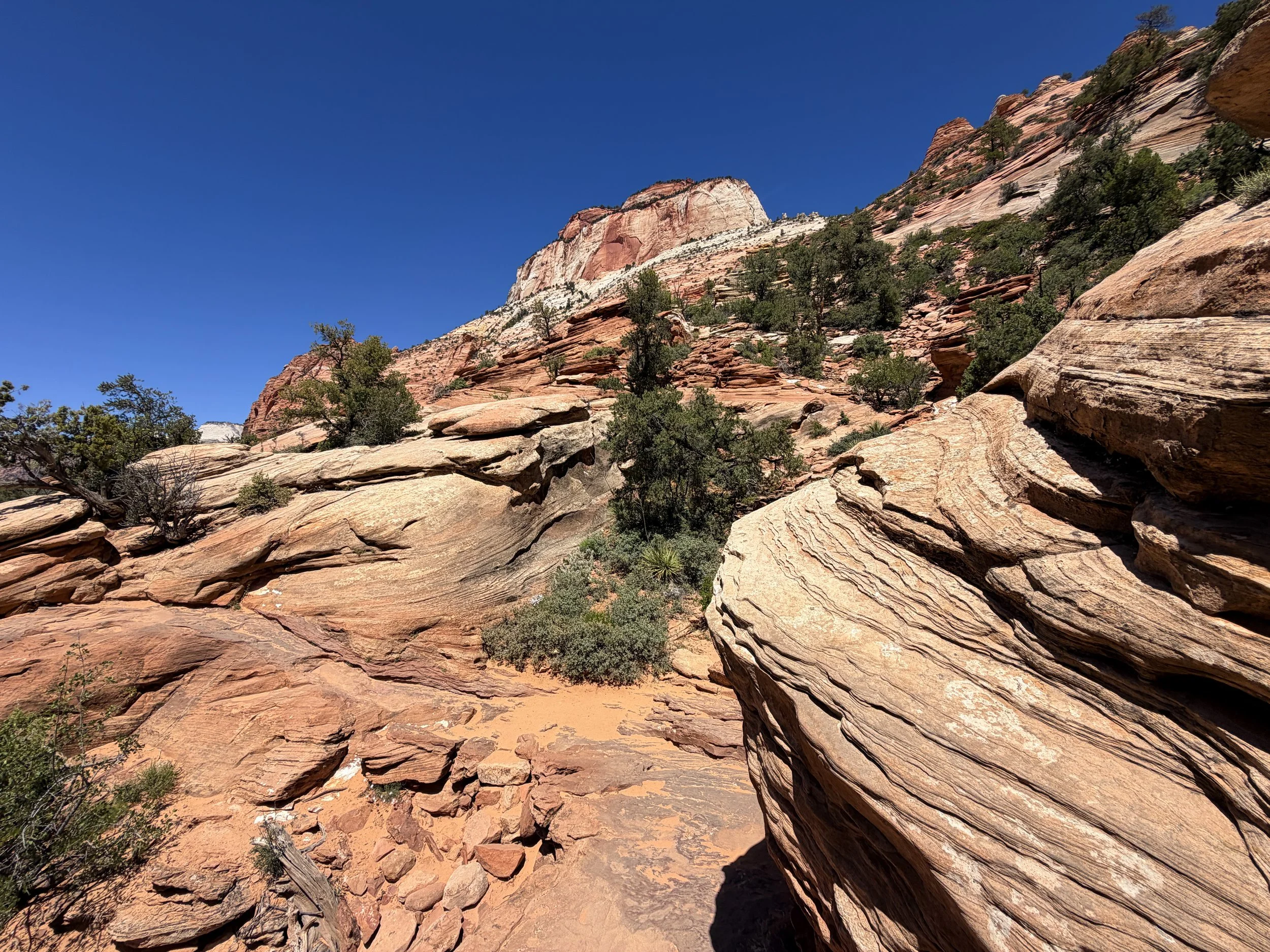 Canyon Overlook Trail Zion National Park Utah