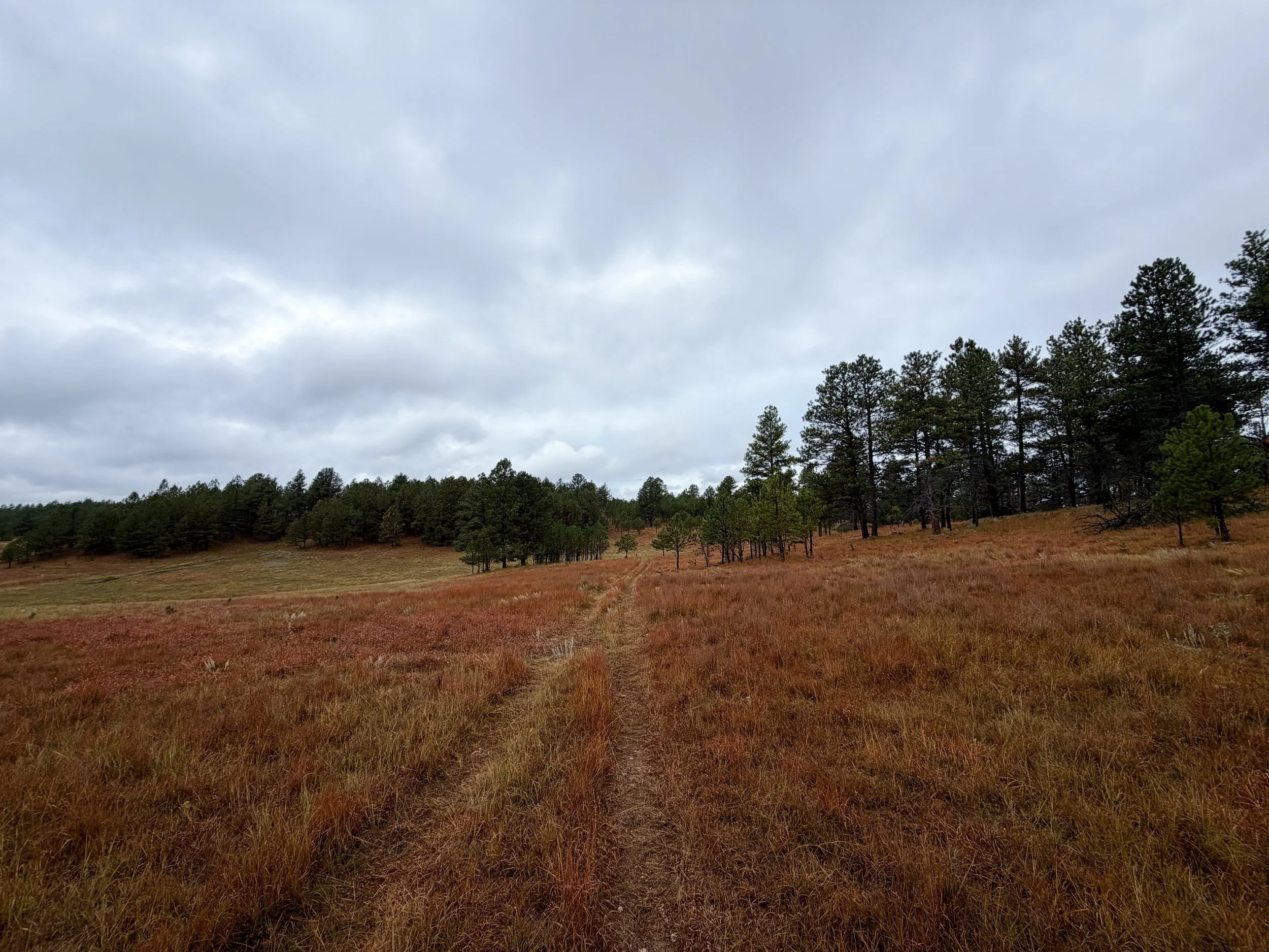 Highland Creek to Wind Cave Canyon Trail Wind Cave National Park South Dakota