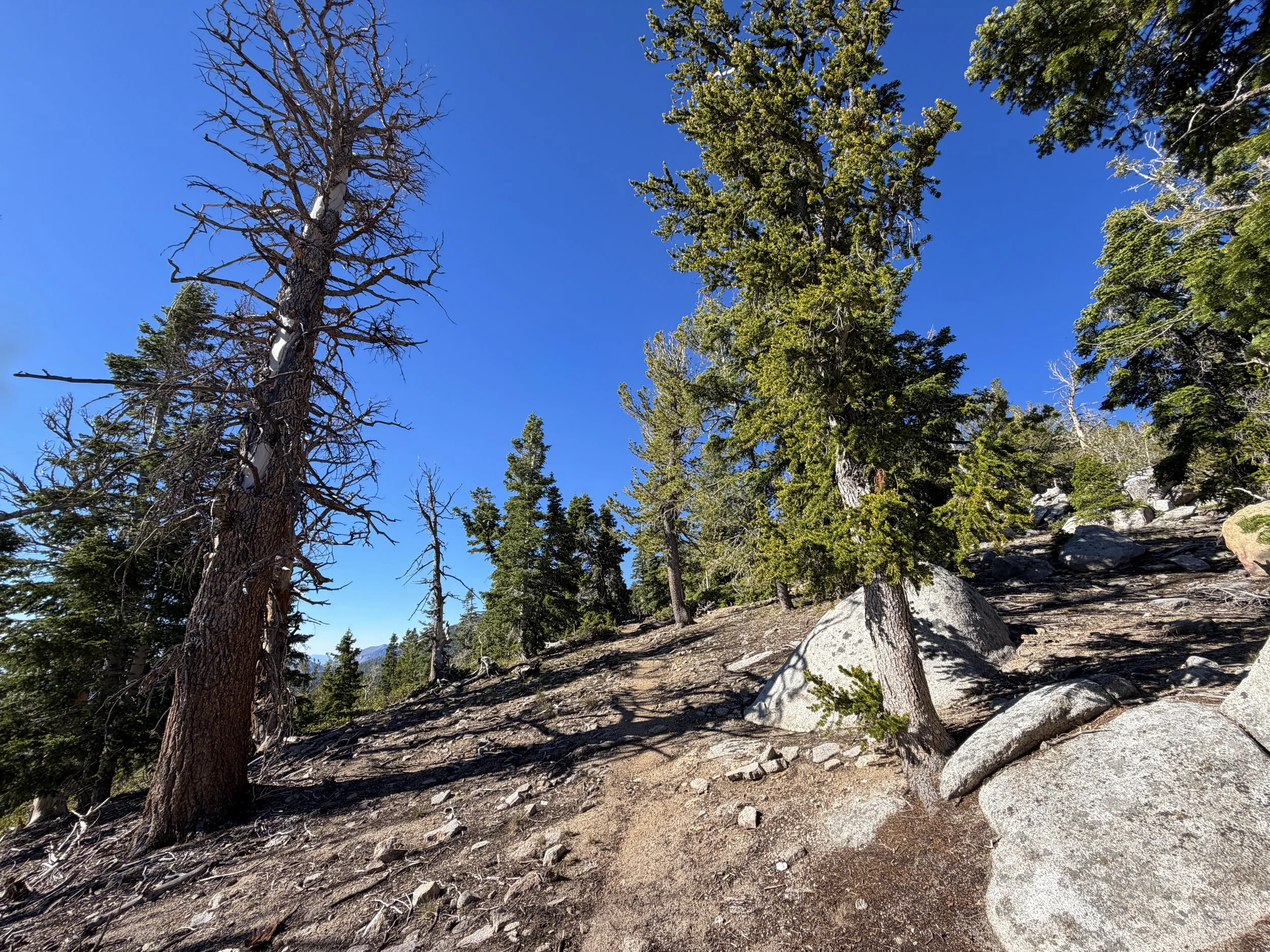 Snake Divide Trail to Mount Washington Great Basin National Park Nevada