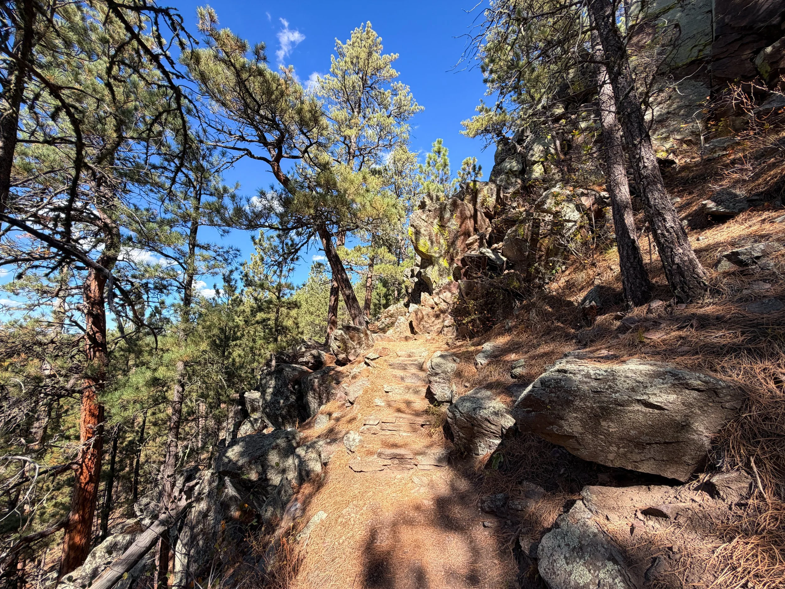Rankin Ridge Nature Hike Wind Cave National Park South Dakota