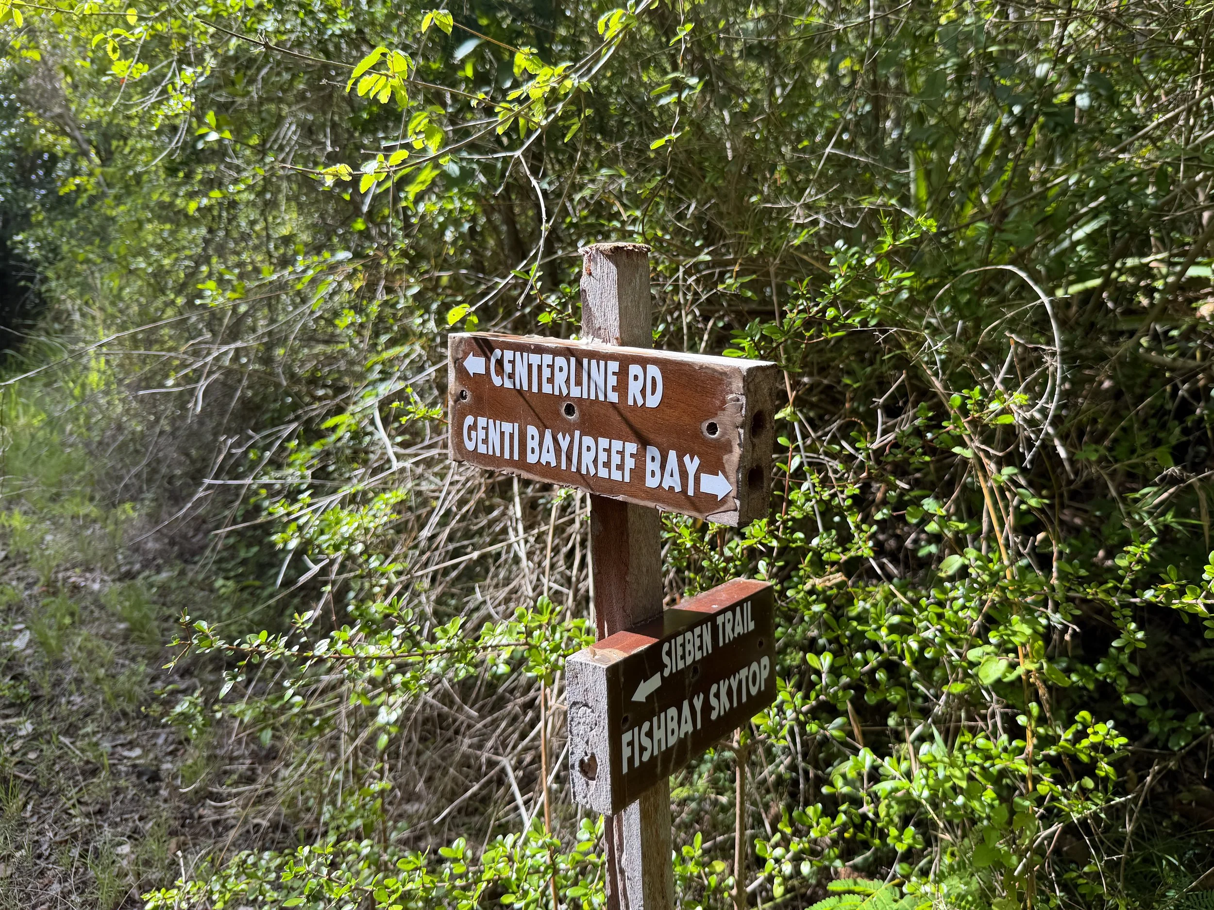 Great Sieben Trail Virgin Islands National Park