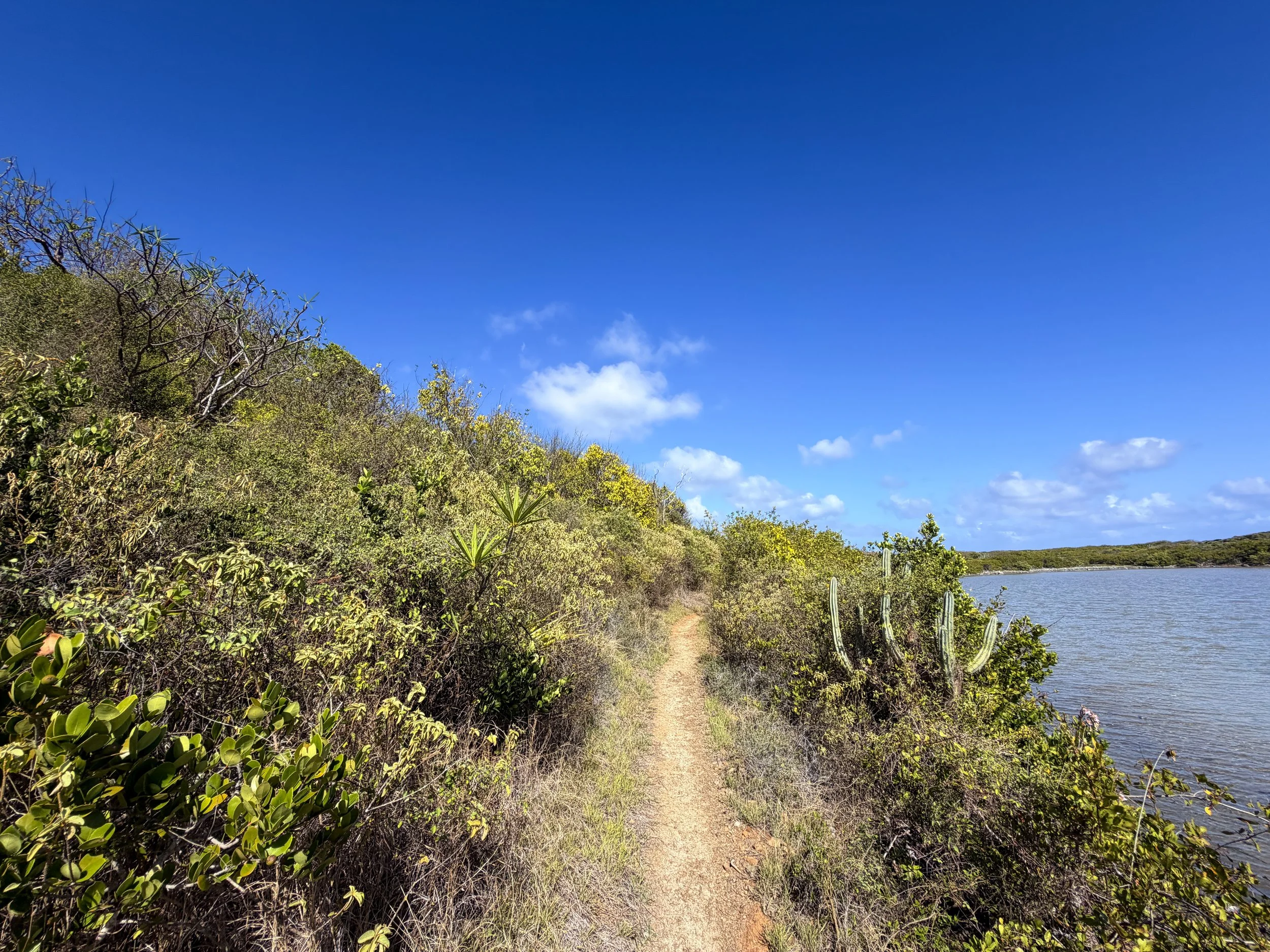 Drunk Bay Hike Virgin Islands National Park