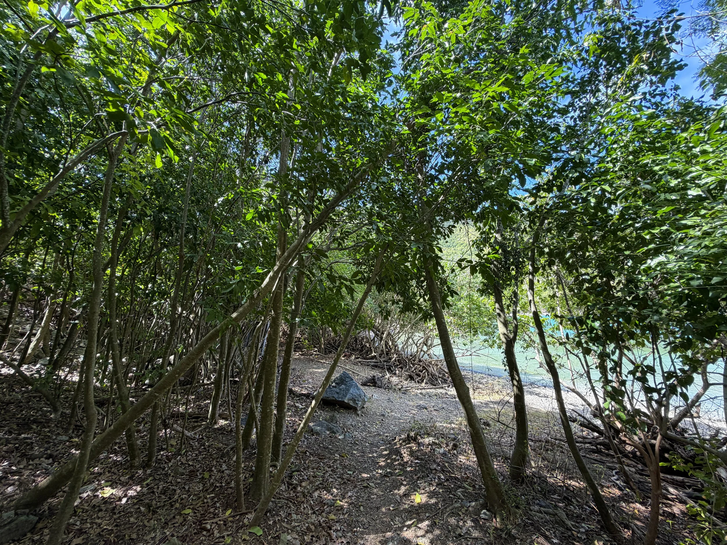 Johnny Horn Trailhead Virgin Islands National Park