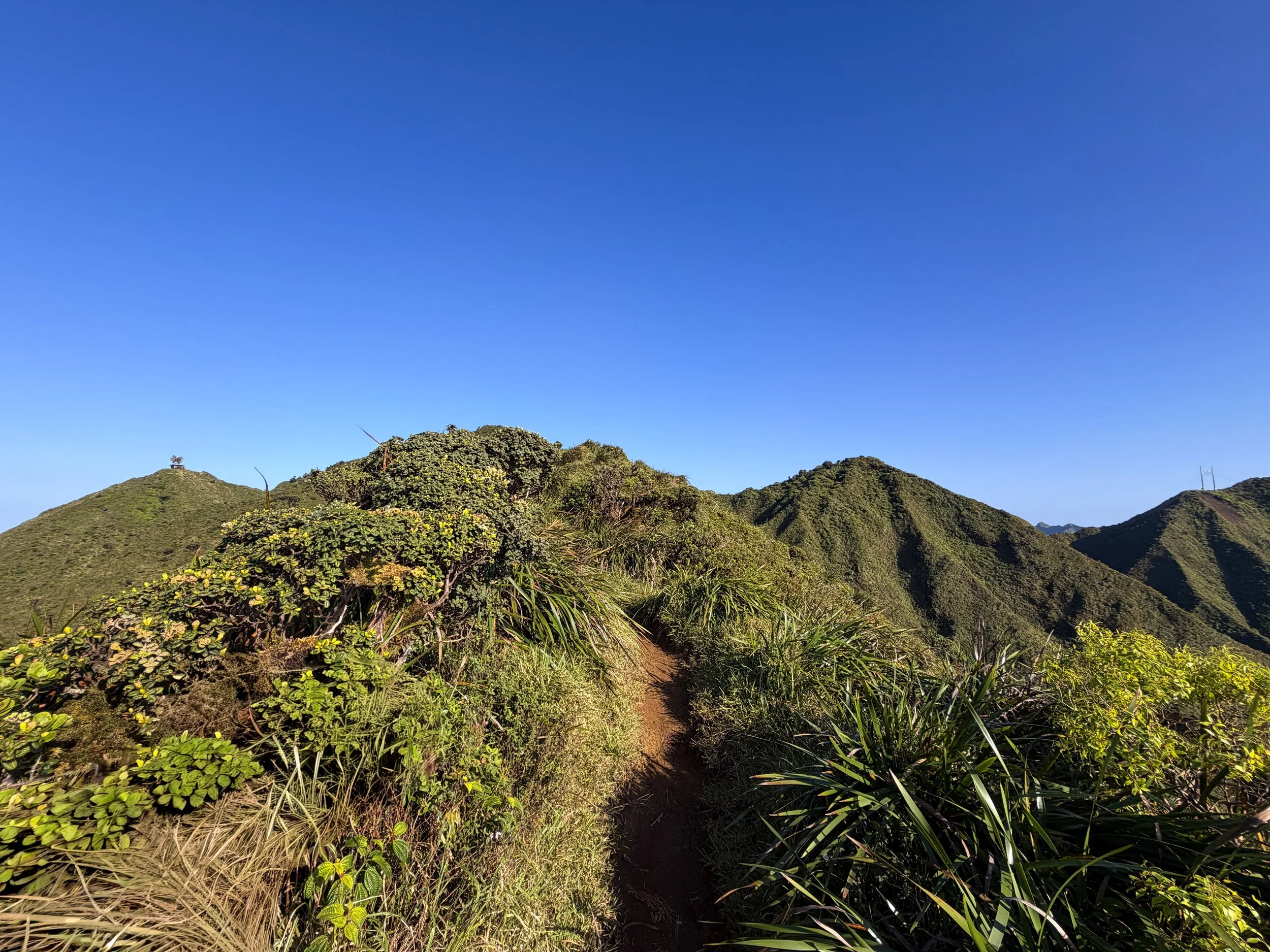 Moanalua Middle Ridge Trail to Stairway to Heaven Oahu Hawaii
