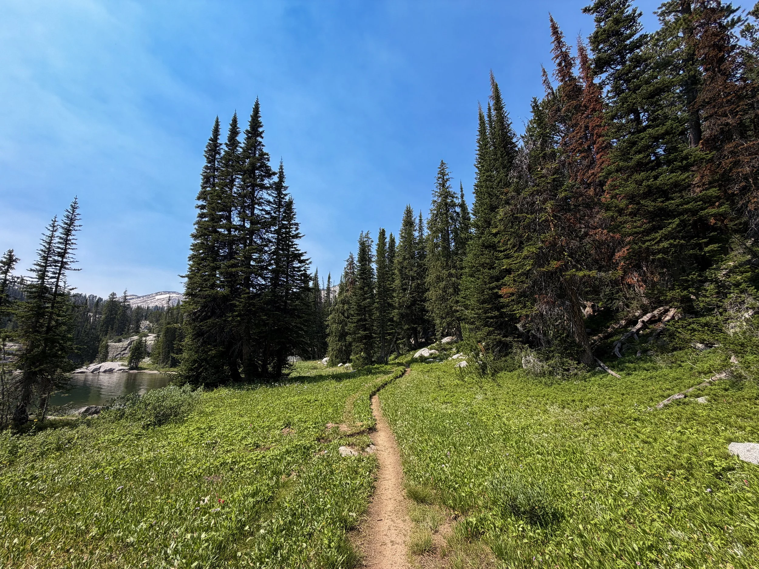The Beaten Path Trail Beartooth Mountains Montana