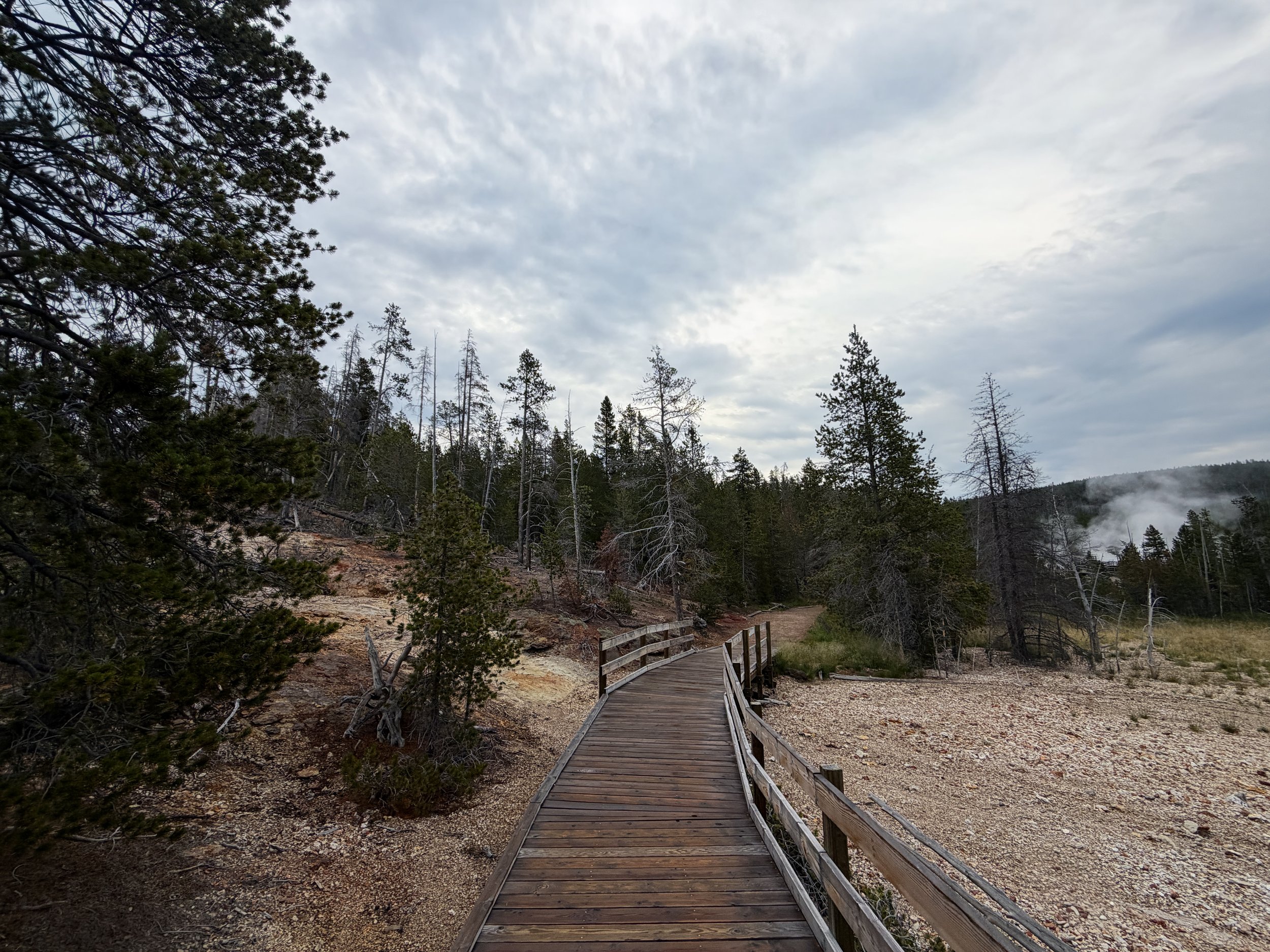 Back Basin Loop Trail Norris Geyser Basin Yellowstone National Park Wyoming
