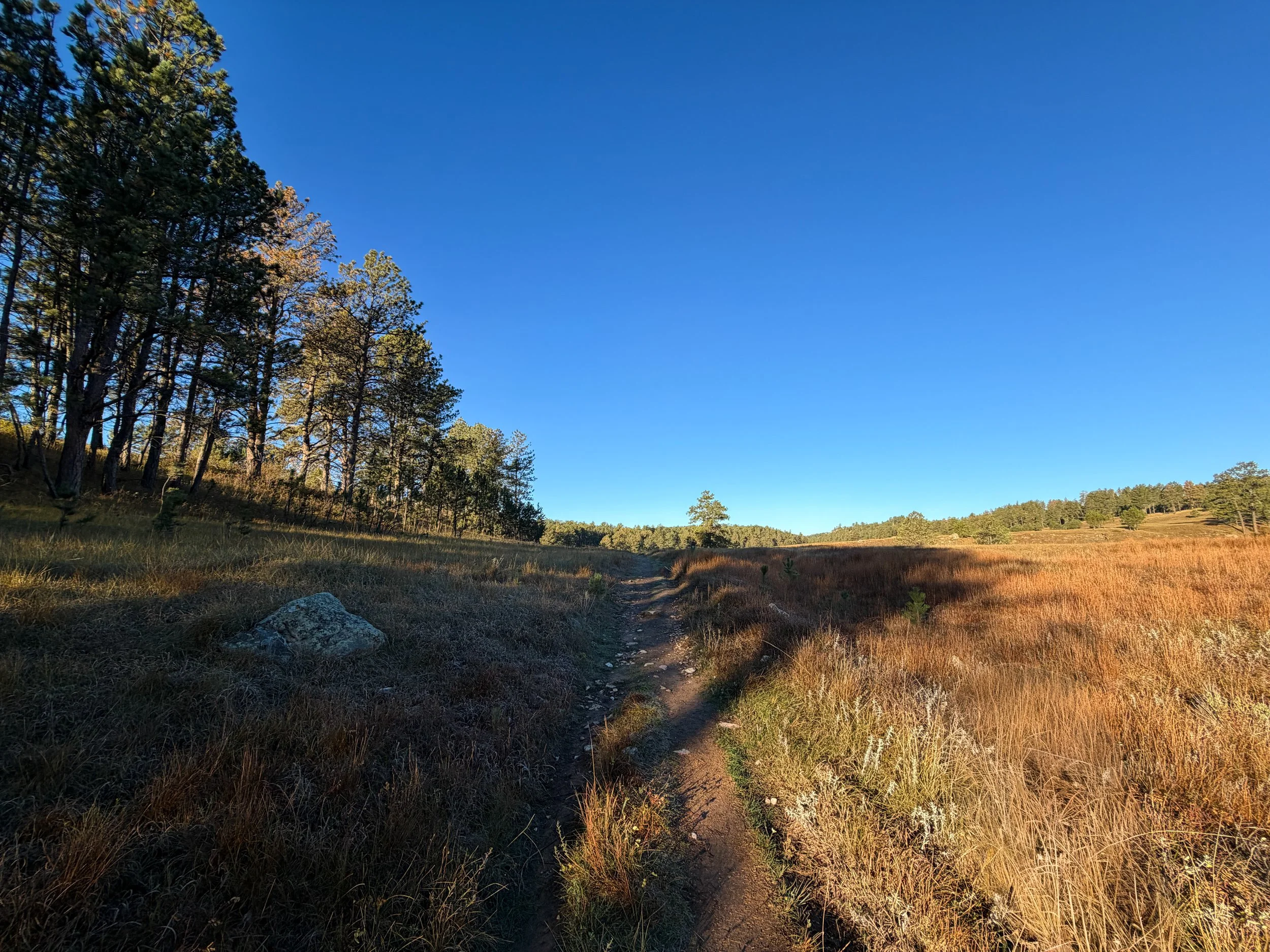 Cold Brook Canyon Trail Wind Cave National Park South Dakota