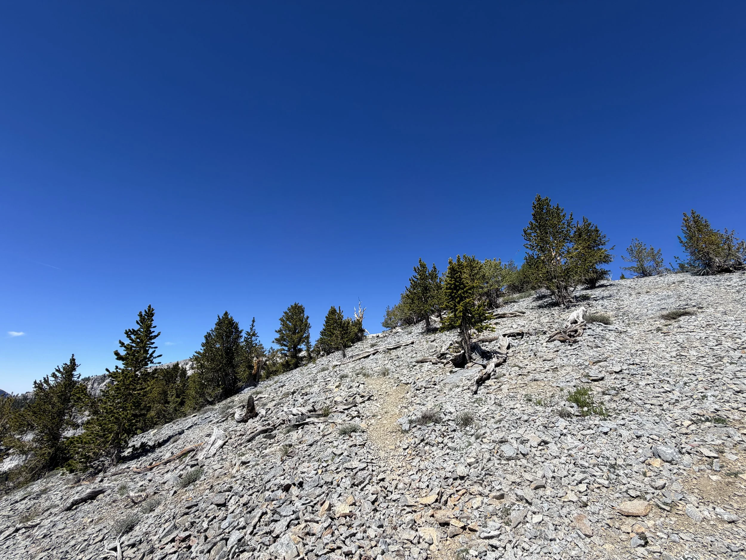 Snake Divide Trail to Magic Bristlecone Pine Grove Great Basin National Park Nevada