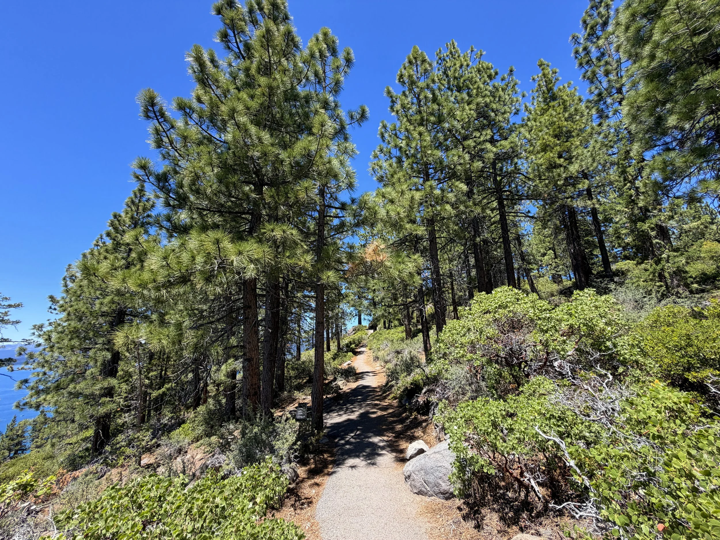 Stateline Fire Lookout Trail Lake Tahoe California