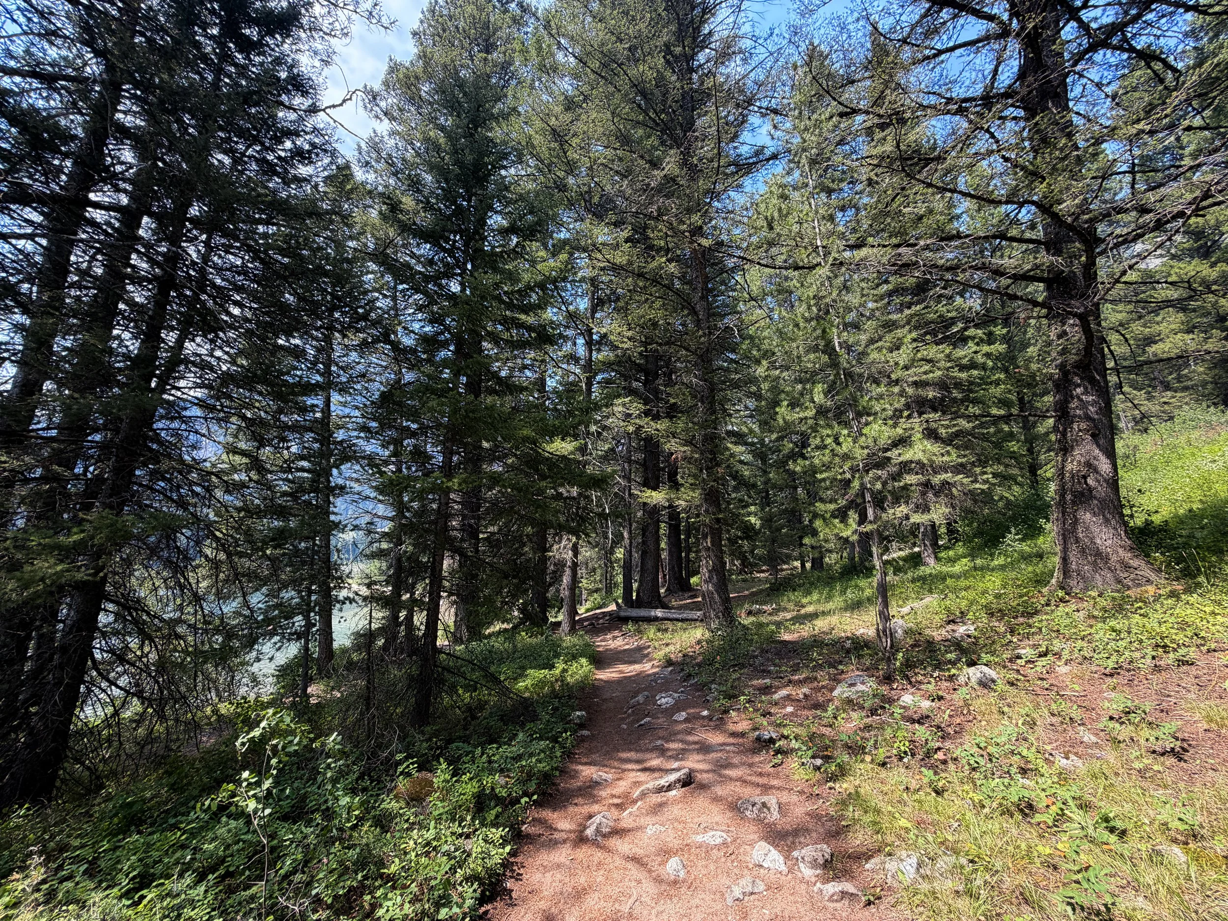 Phelps Lake Loop Trail Grand Teton National Park Wyoming