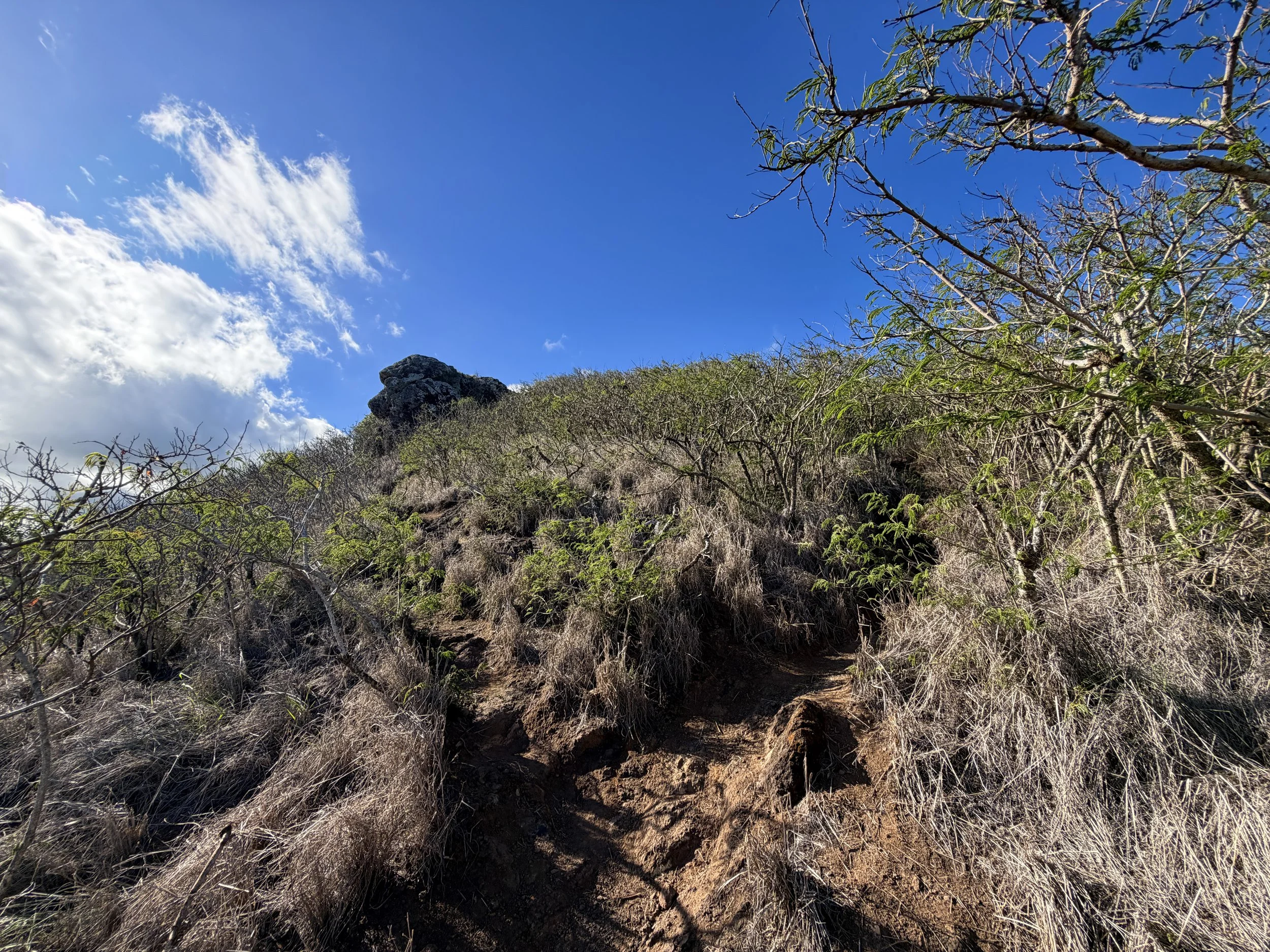 Back Lanikai Pillbox Trail Oahu Hawaii