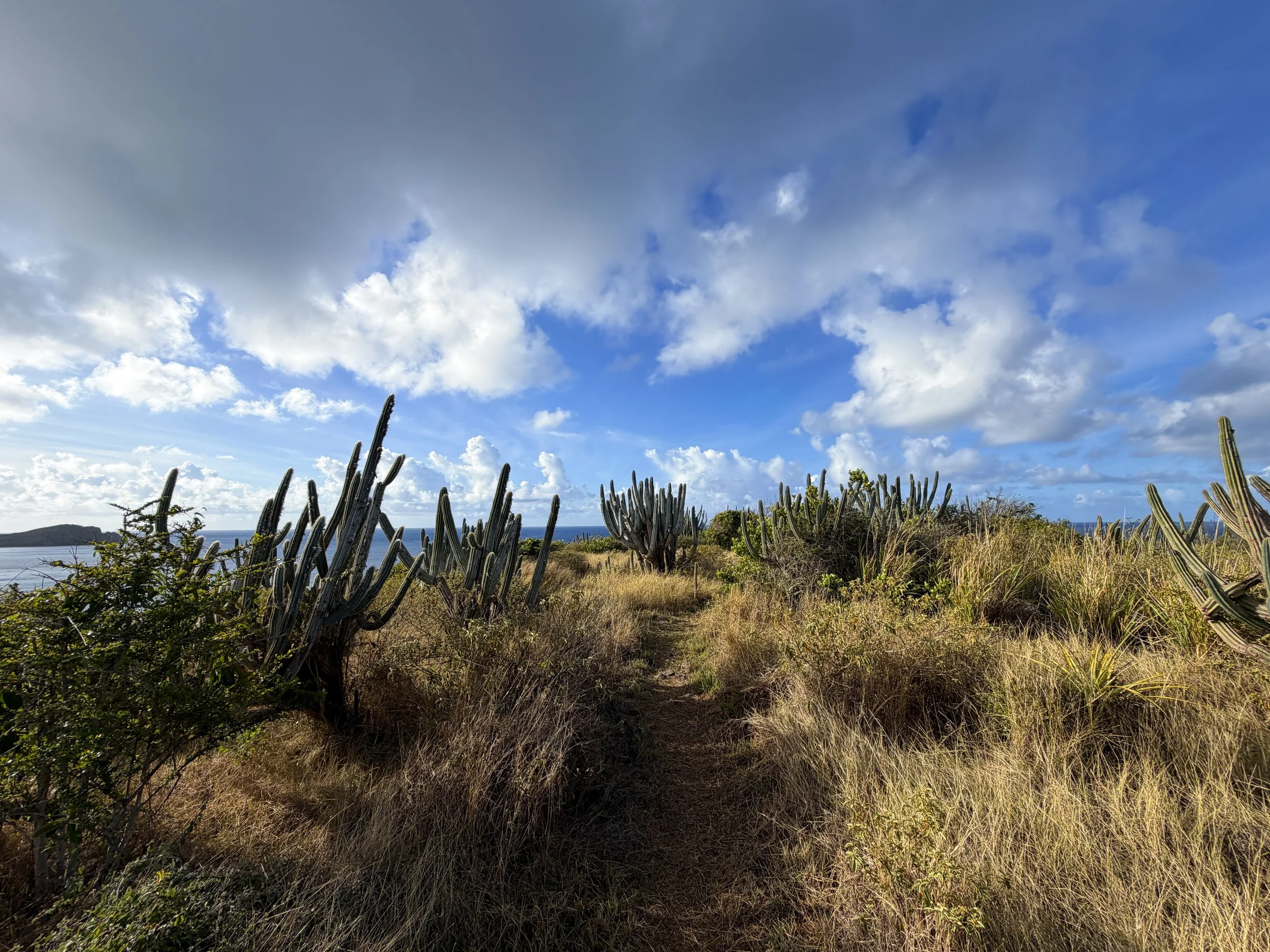 Cabritte Horn Hike Virgin Islands National Park