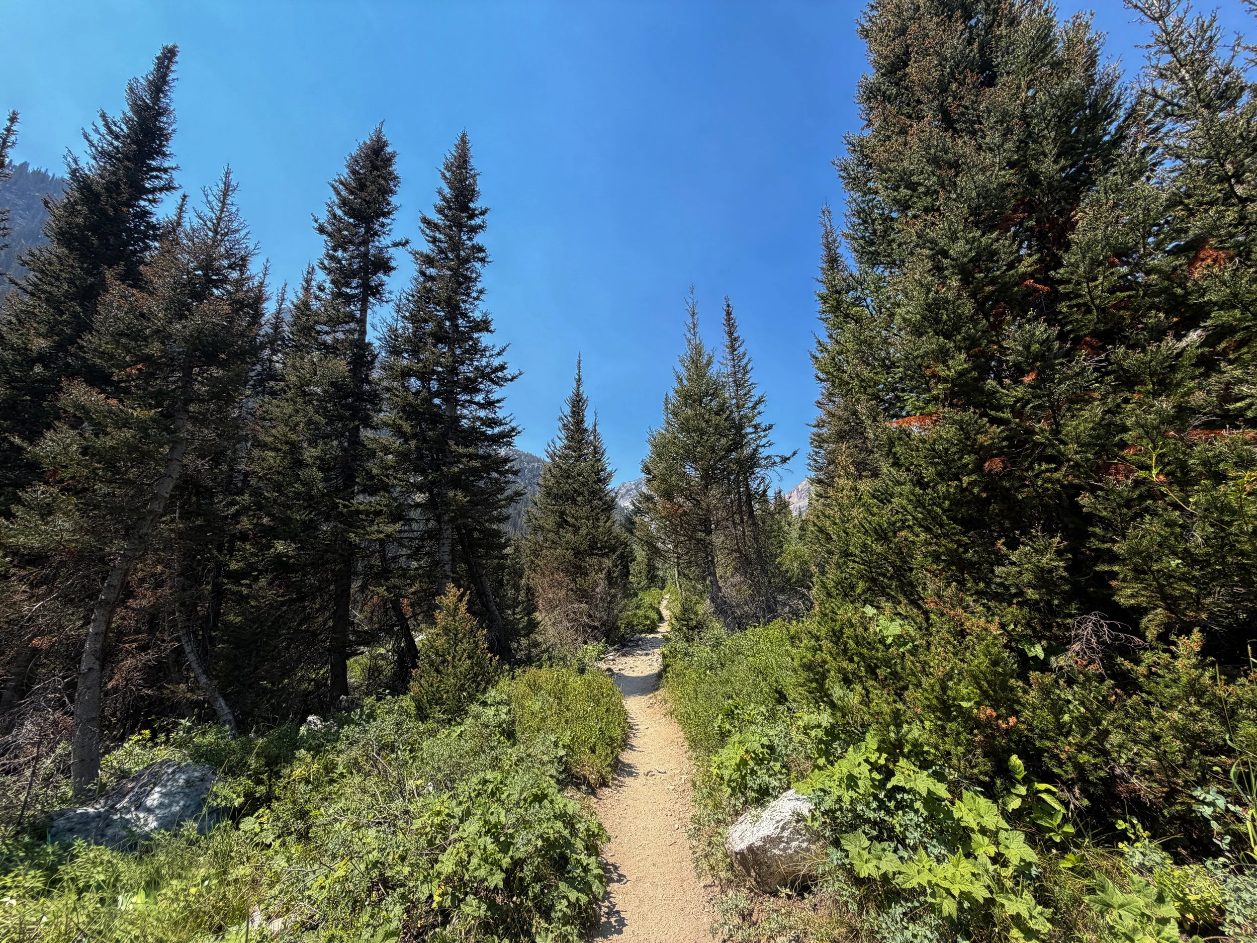 Cascade Canyon Trail Grand Teton National Park Wyoming